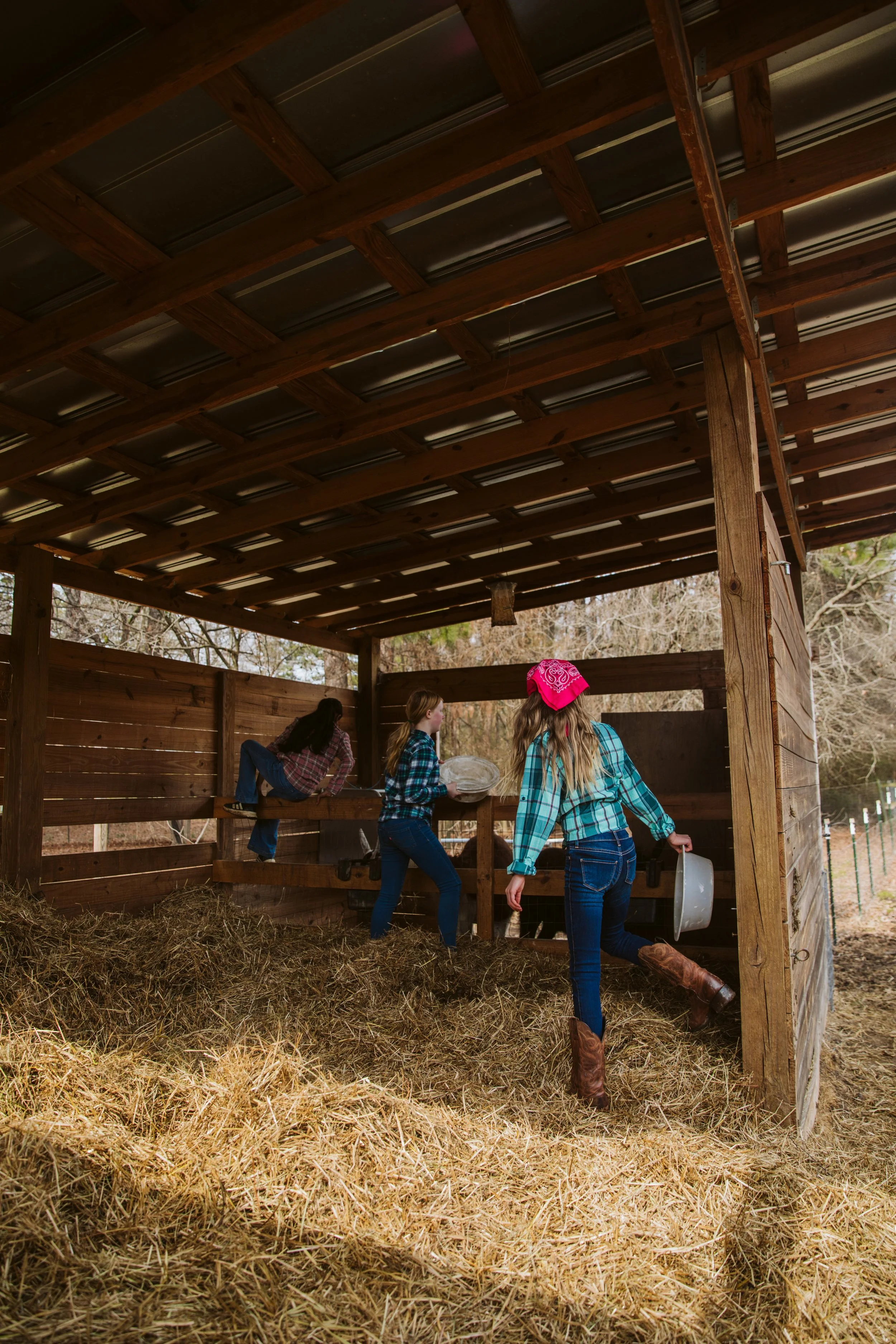 Students learning through daily farm chores at a homeschool education center
