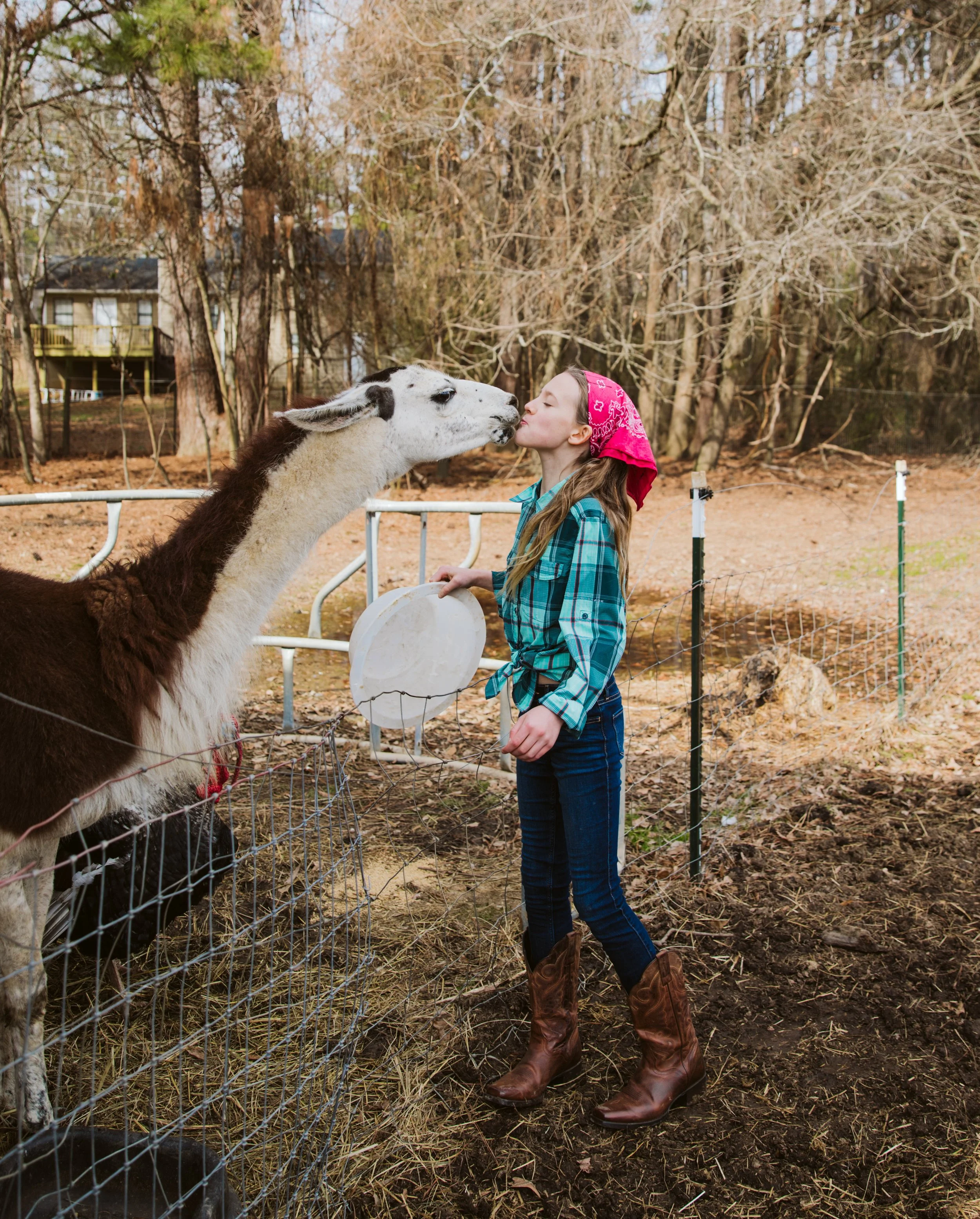 children bonding with animals