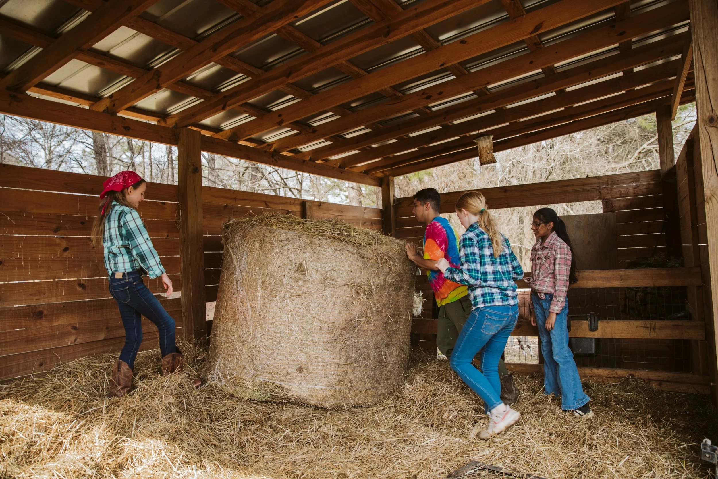  Barn setting used for hands-on homeschool education and daily chores and more 