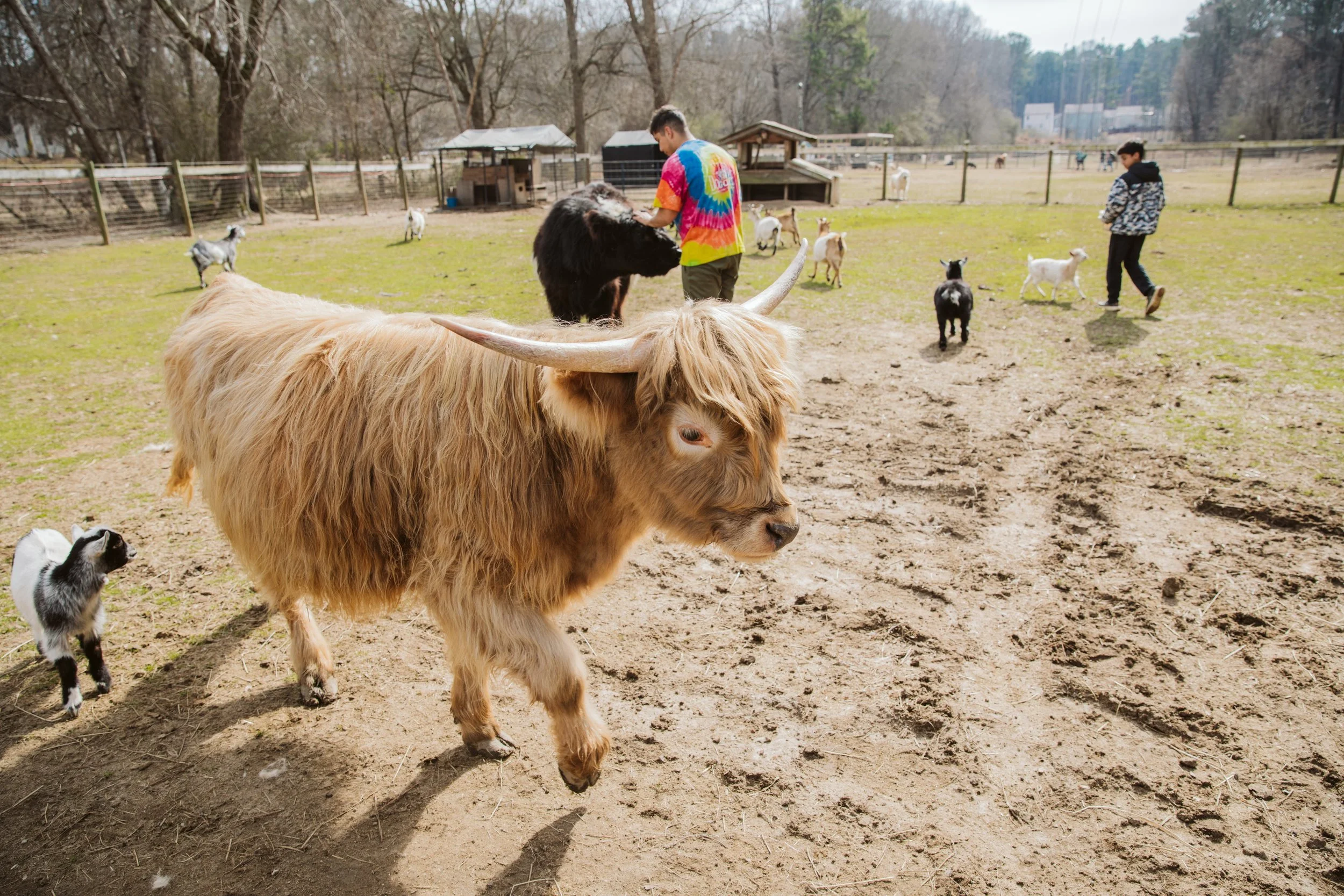 Farm environment where homeschool education focuses on real-life learning