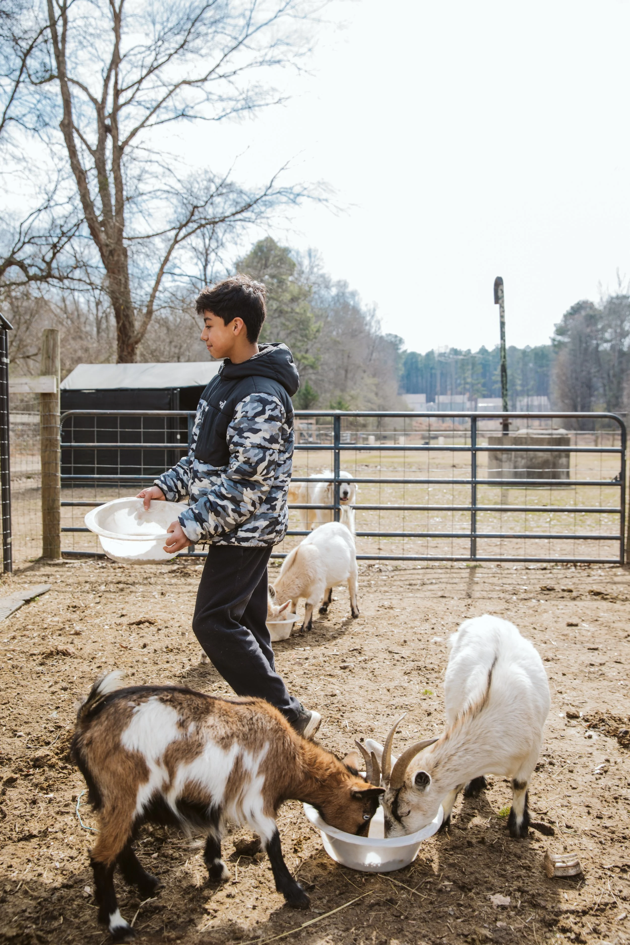 Documentary photography of hands-on homeschool education on a farm