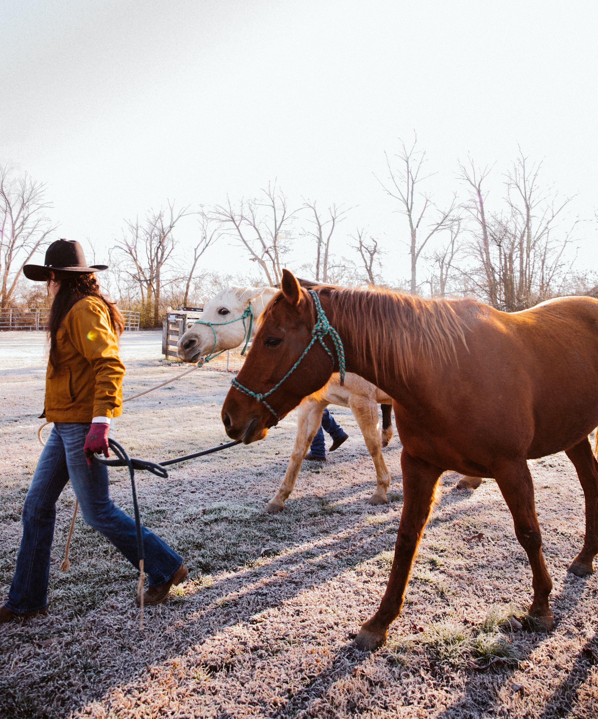 Ranch hand leading a horse during morning chores at a North Georgia ranch