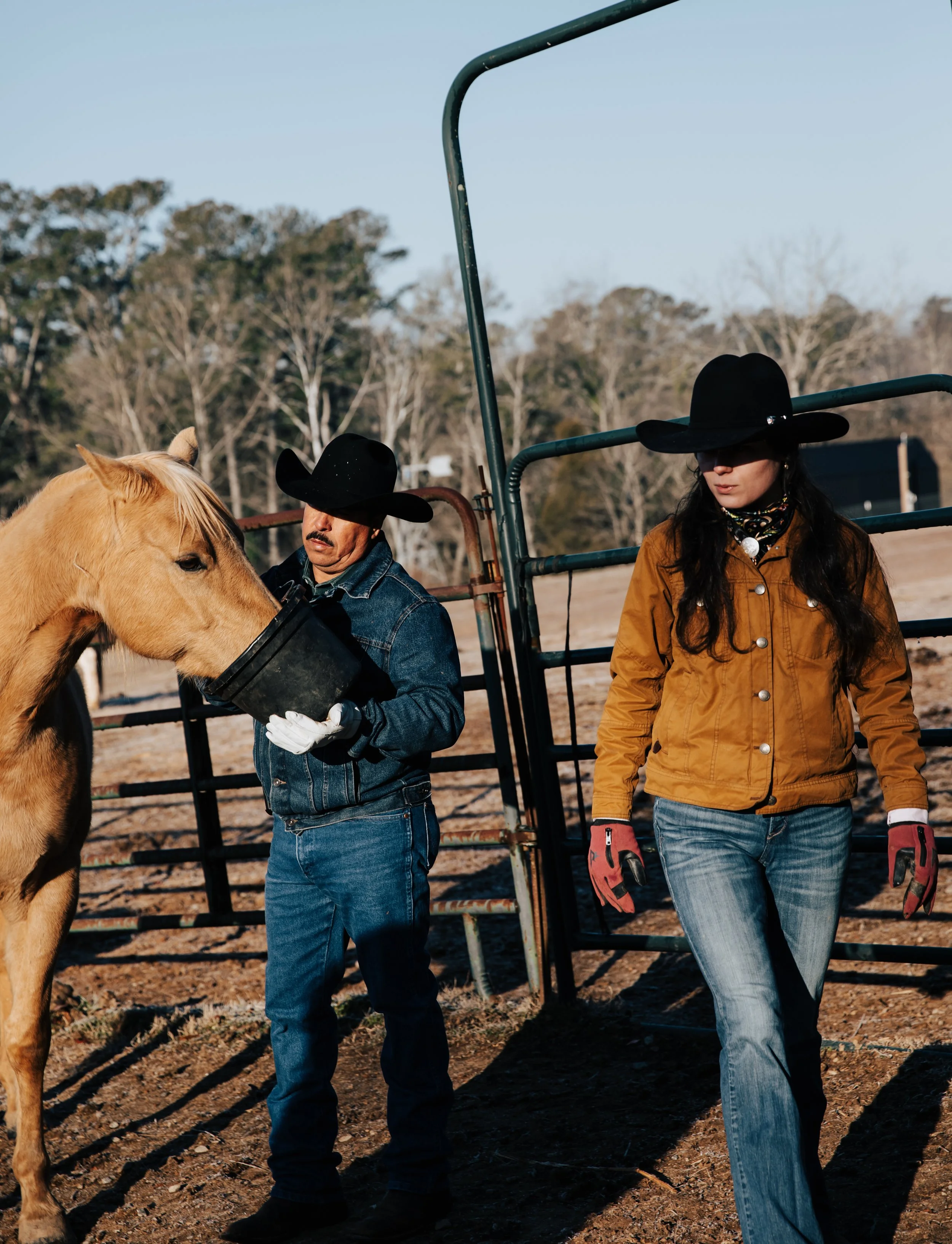 Ranch hands feeding a horse at a North Georgia ranch