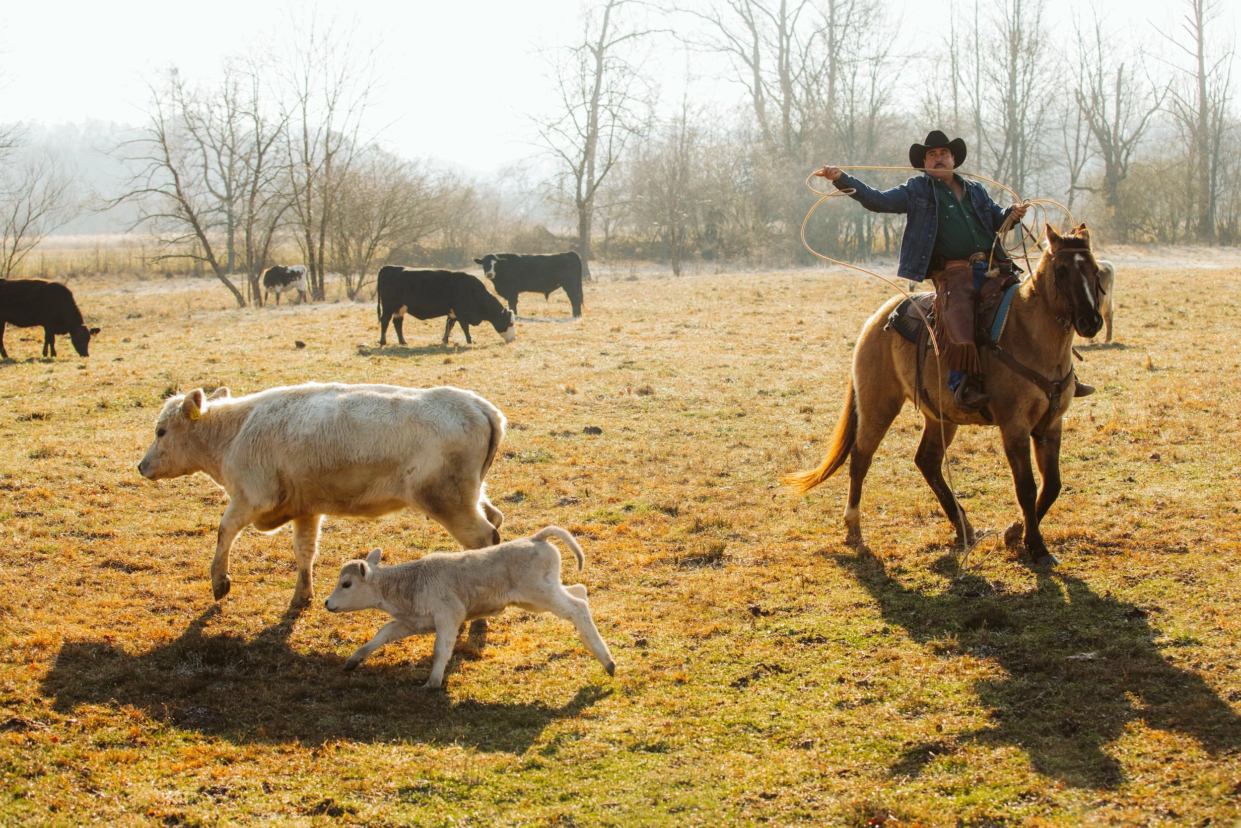 Why Ranch Photography Is Important: Documenting Ranch Life in North Georgia