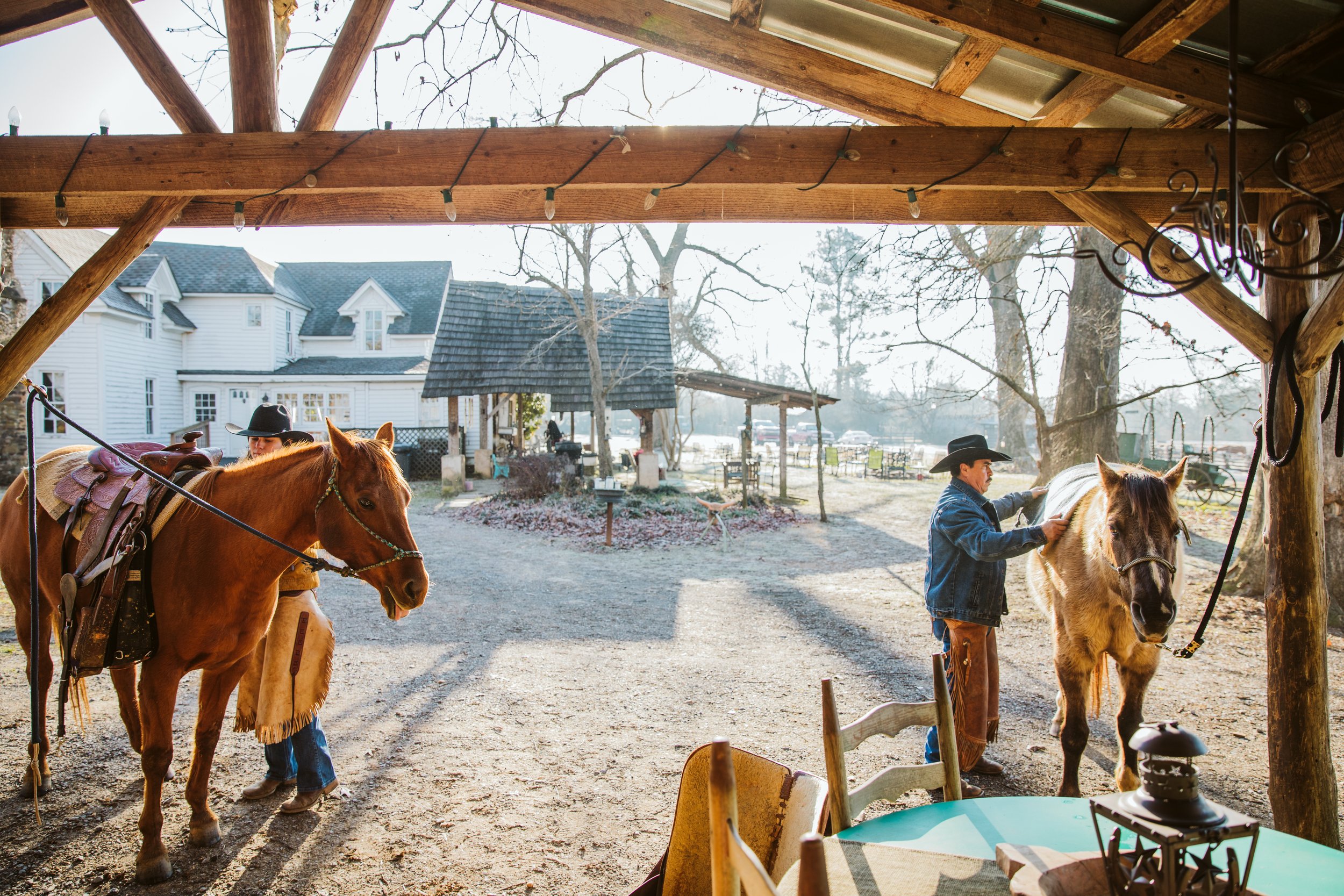Grooming Horses at the Ranch