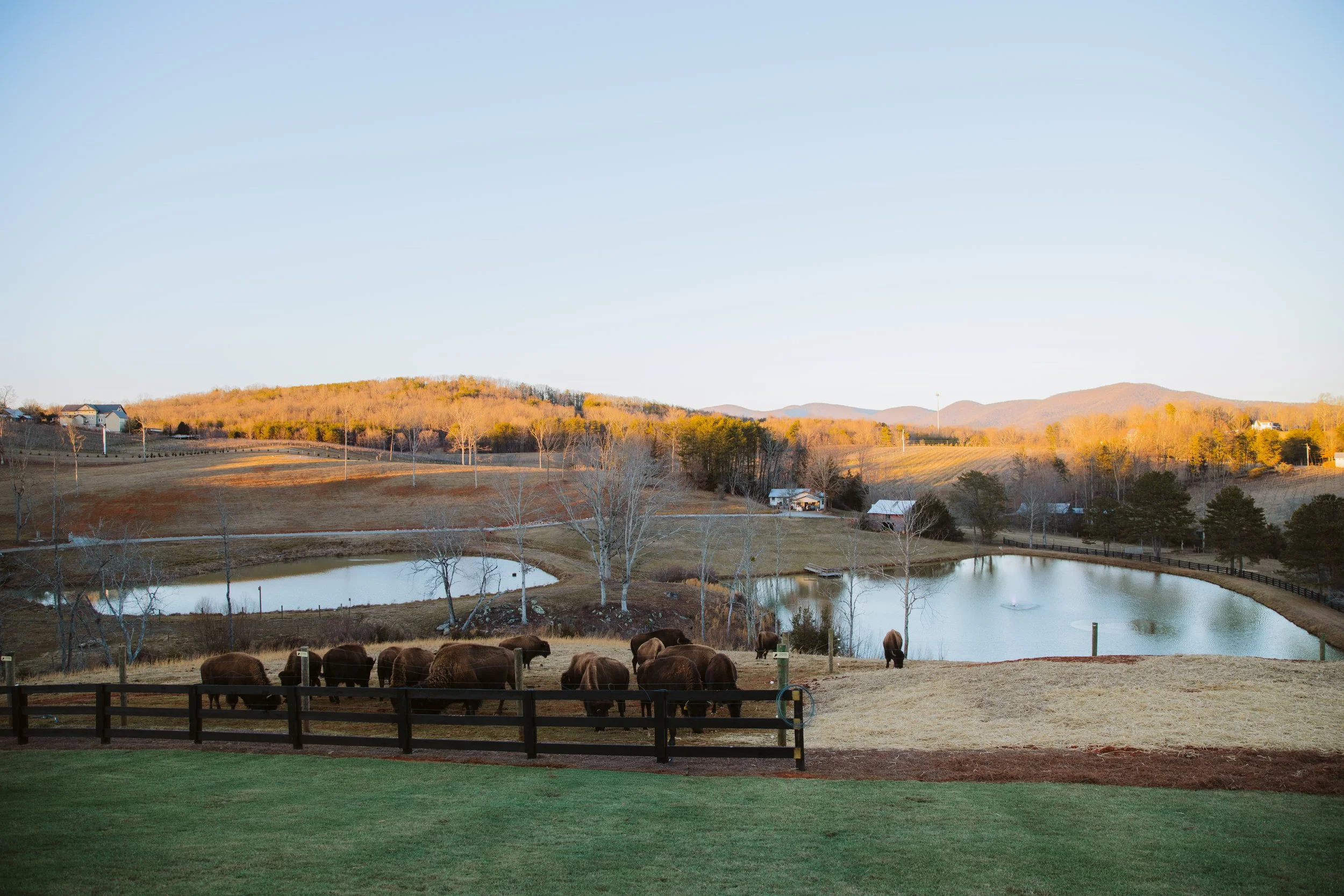 Scenic North Georgia Landscape at KC Bison Ranch