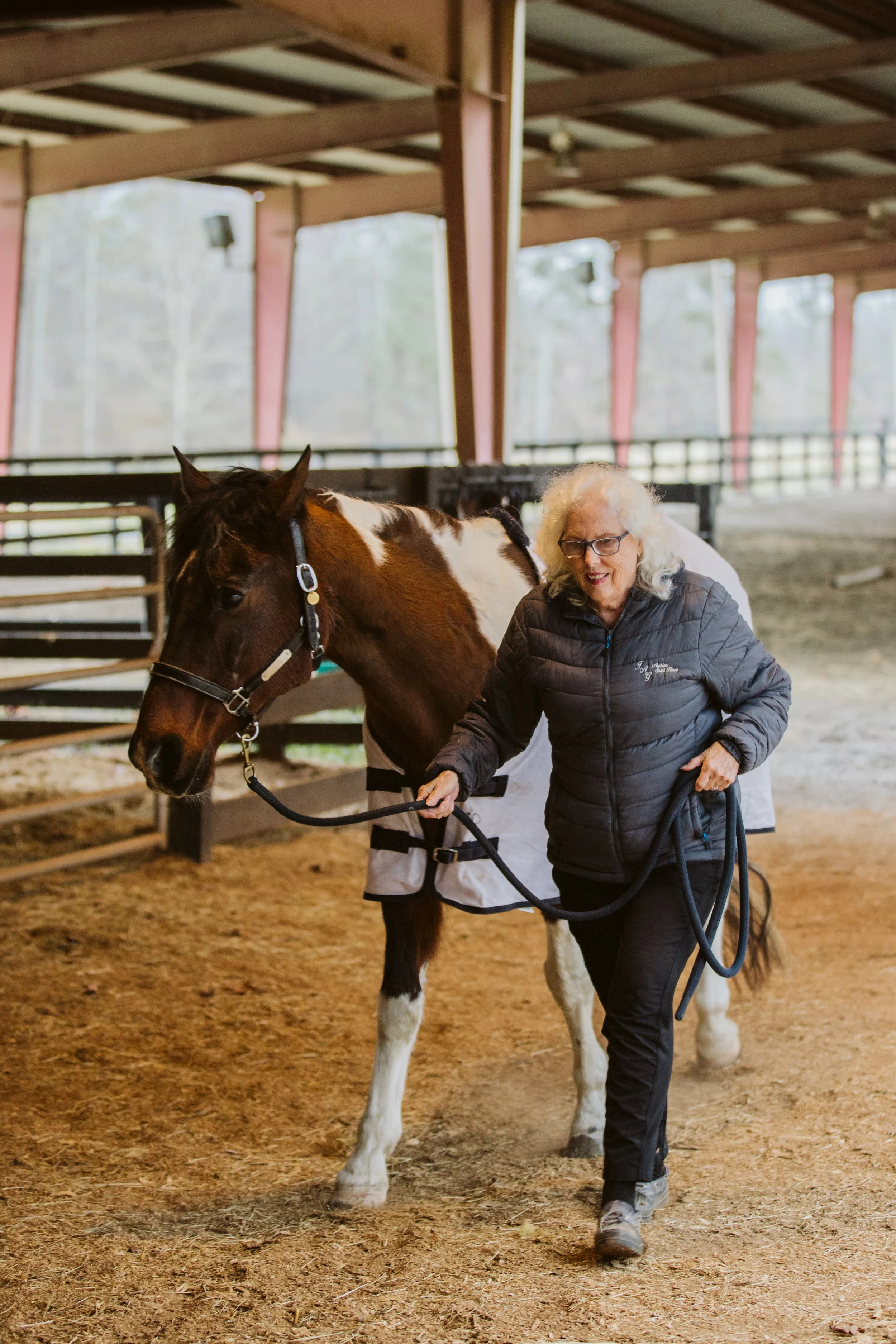 Preparing a Show Horse Inside the Barn
