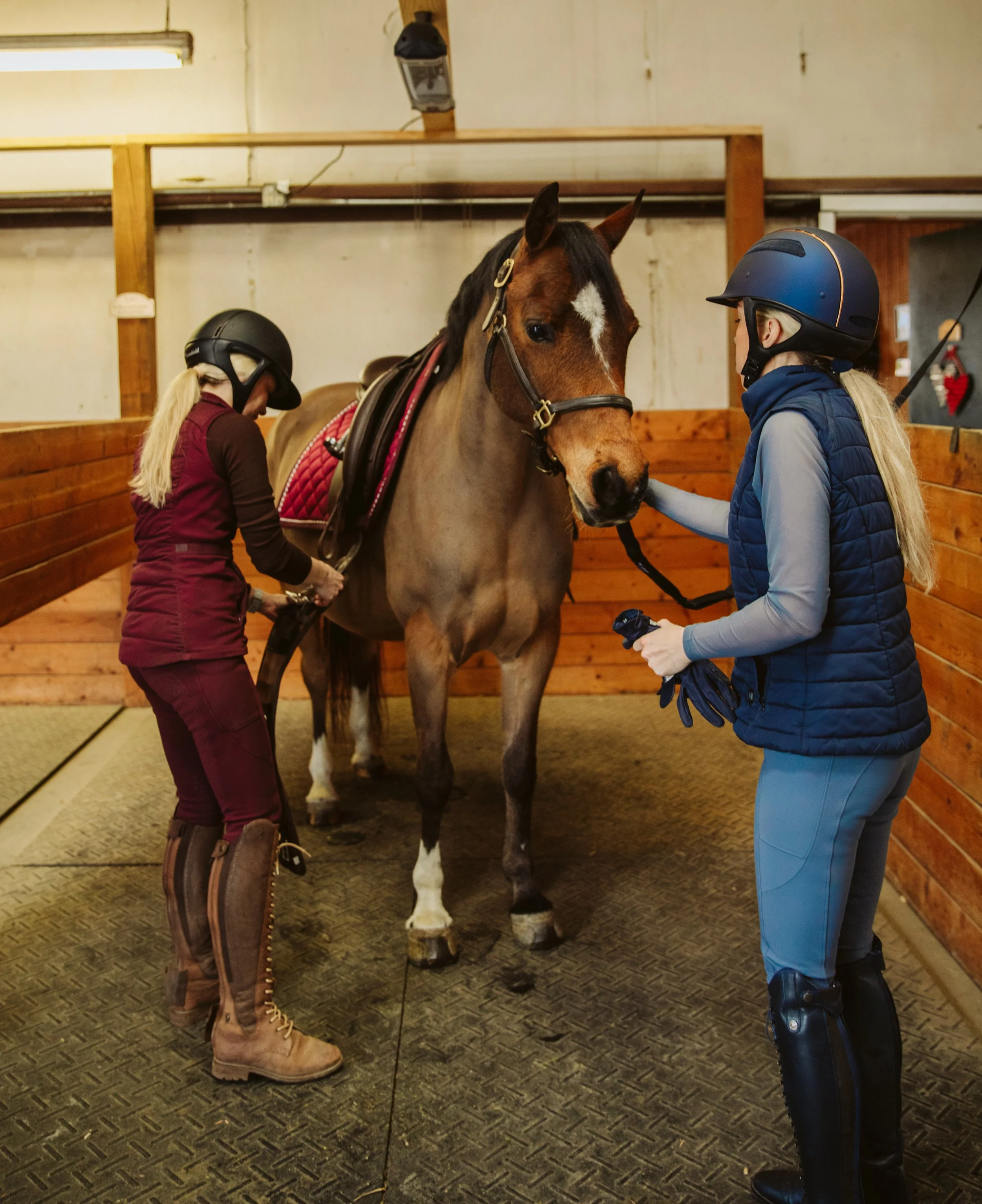 Riders Preparing a Horse for Training Session
