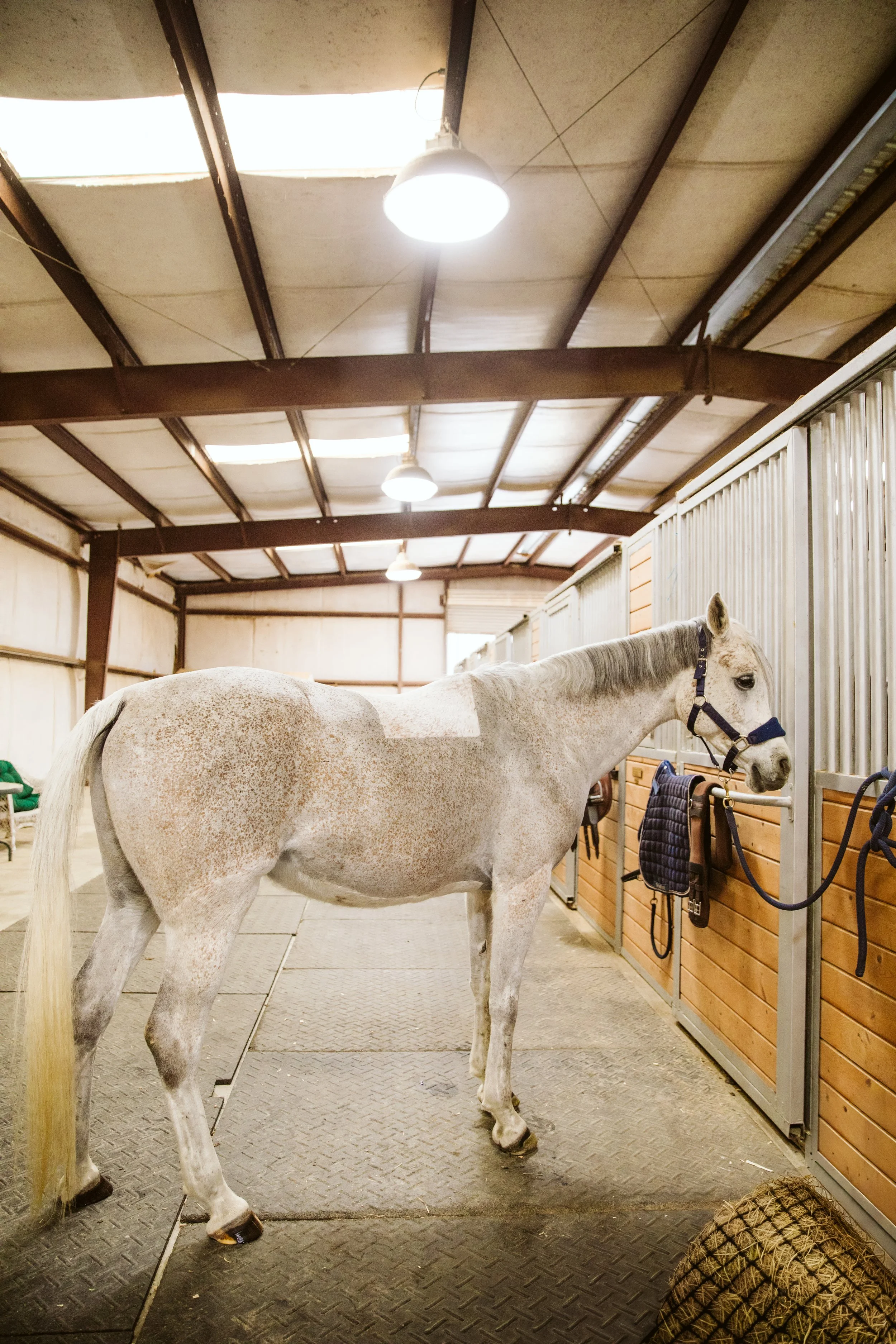 Horse Stall Interior at Georgia Boarding Barn
