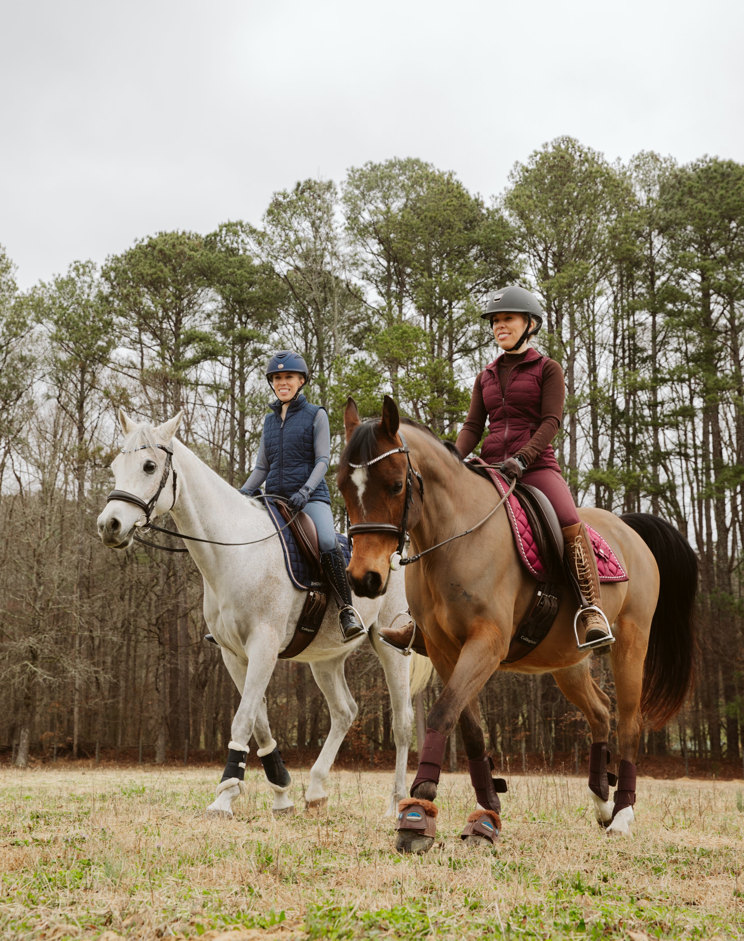 Riders Training Arabian Horses Outdoors in Georgia
