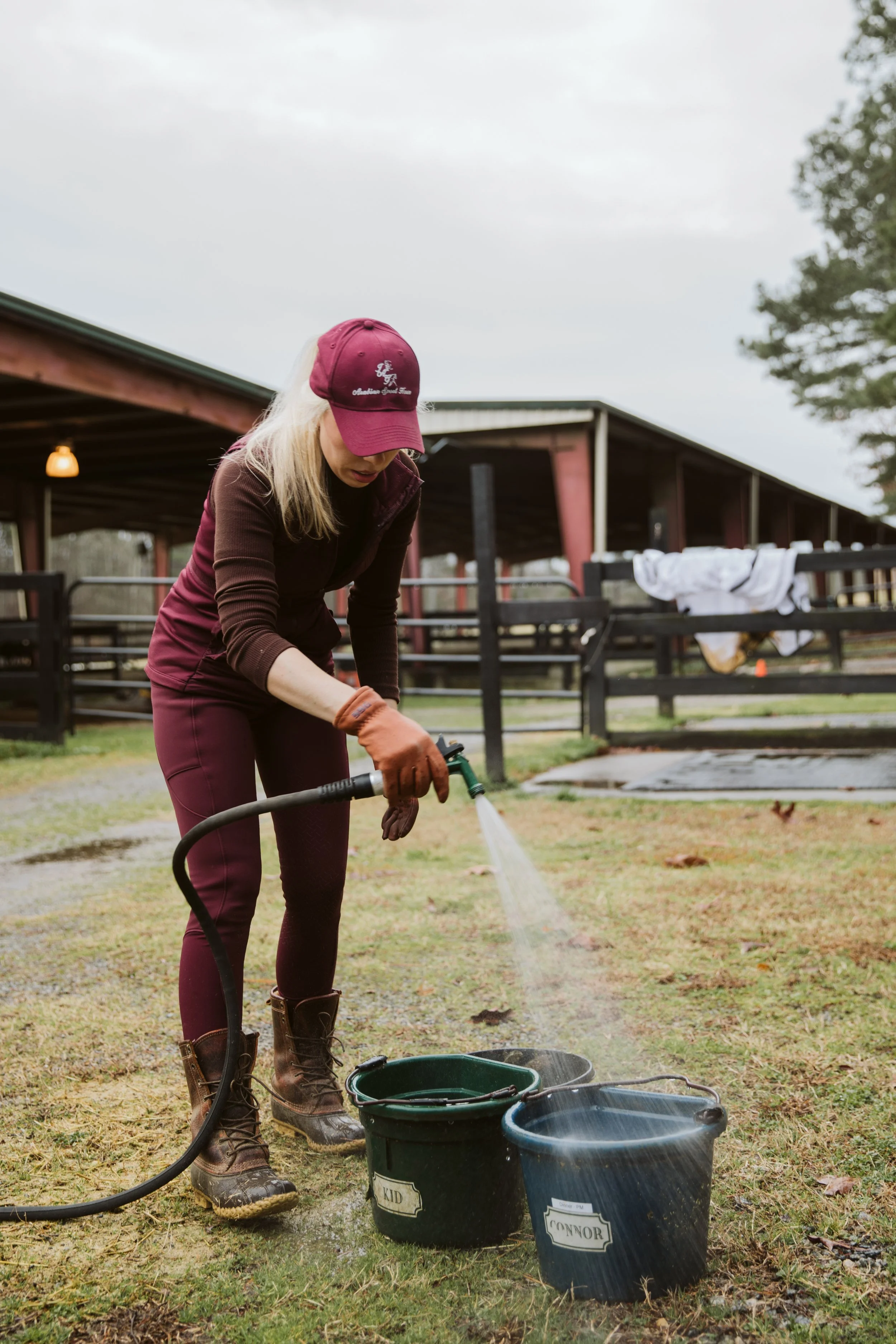 Washing a Horse After Training in Georgia