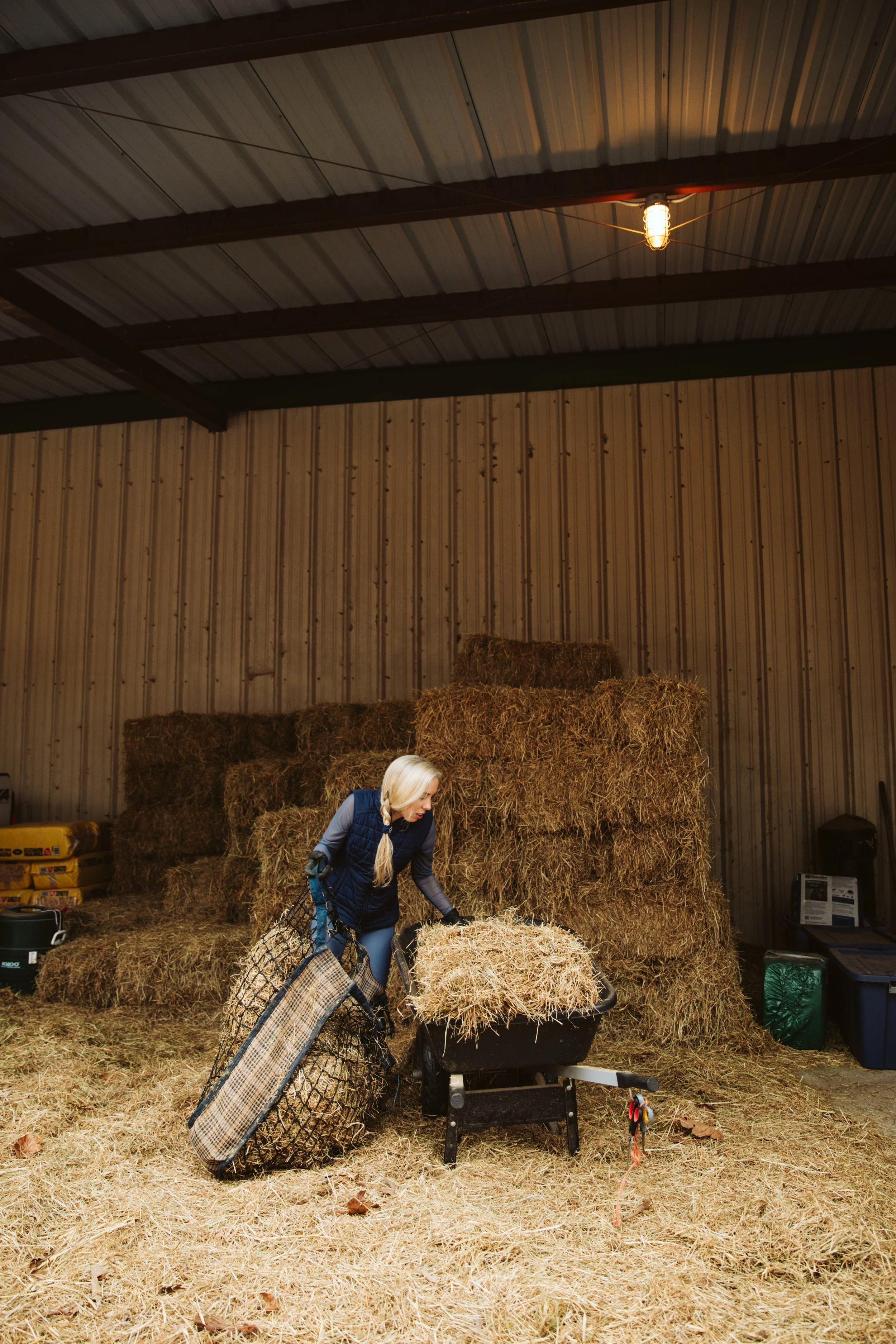 Post-Ride Care for Arabian Horses