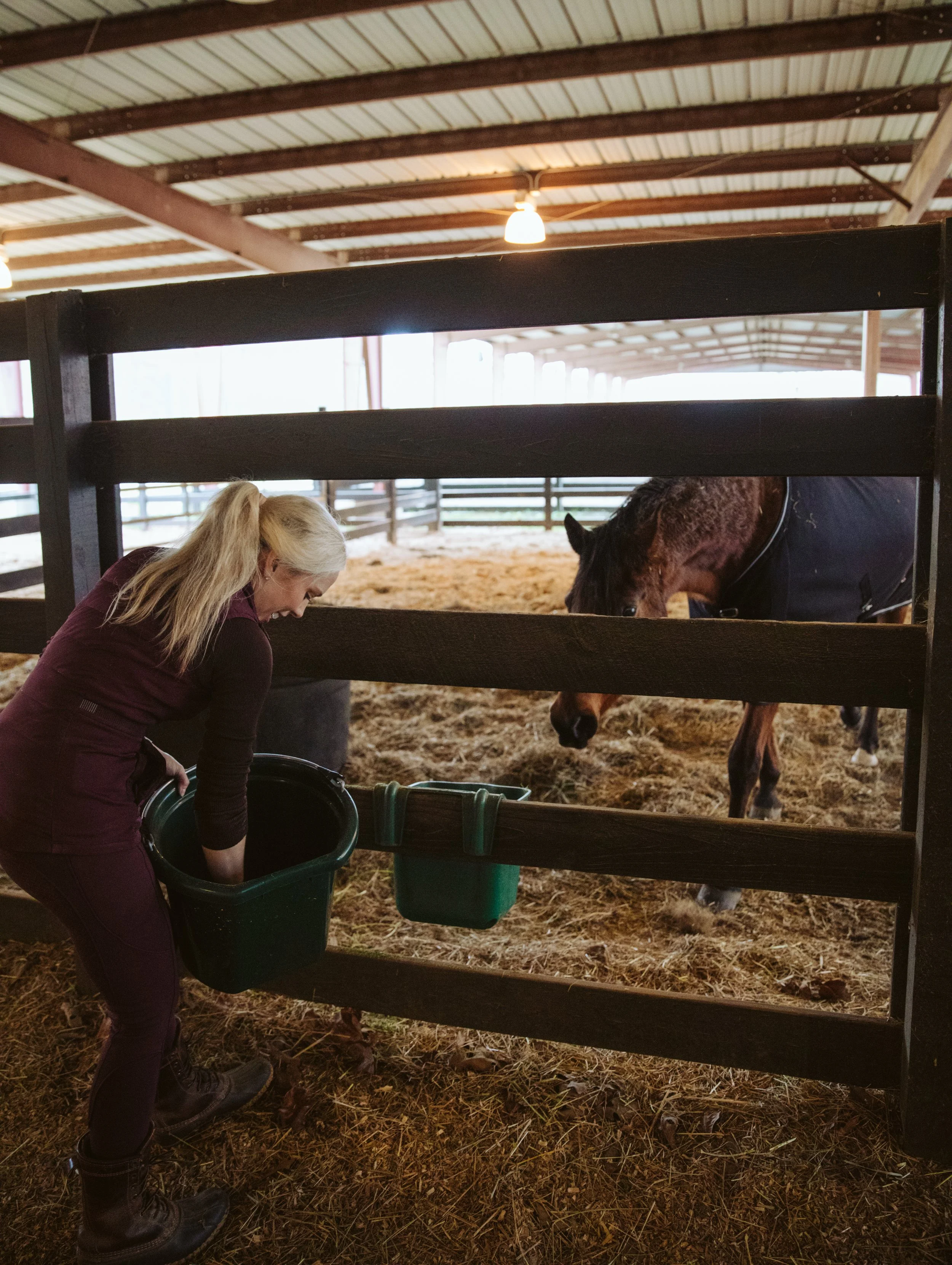 Feeding Time at J.A.G Arabians