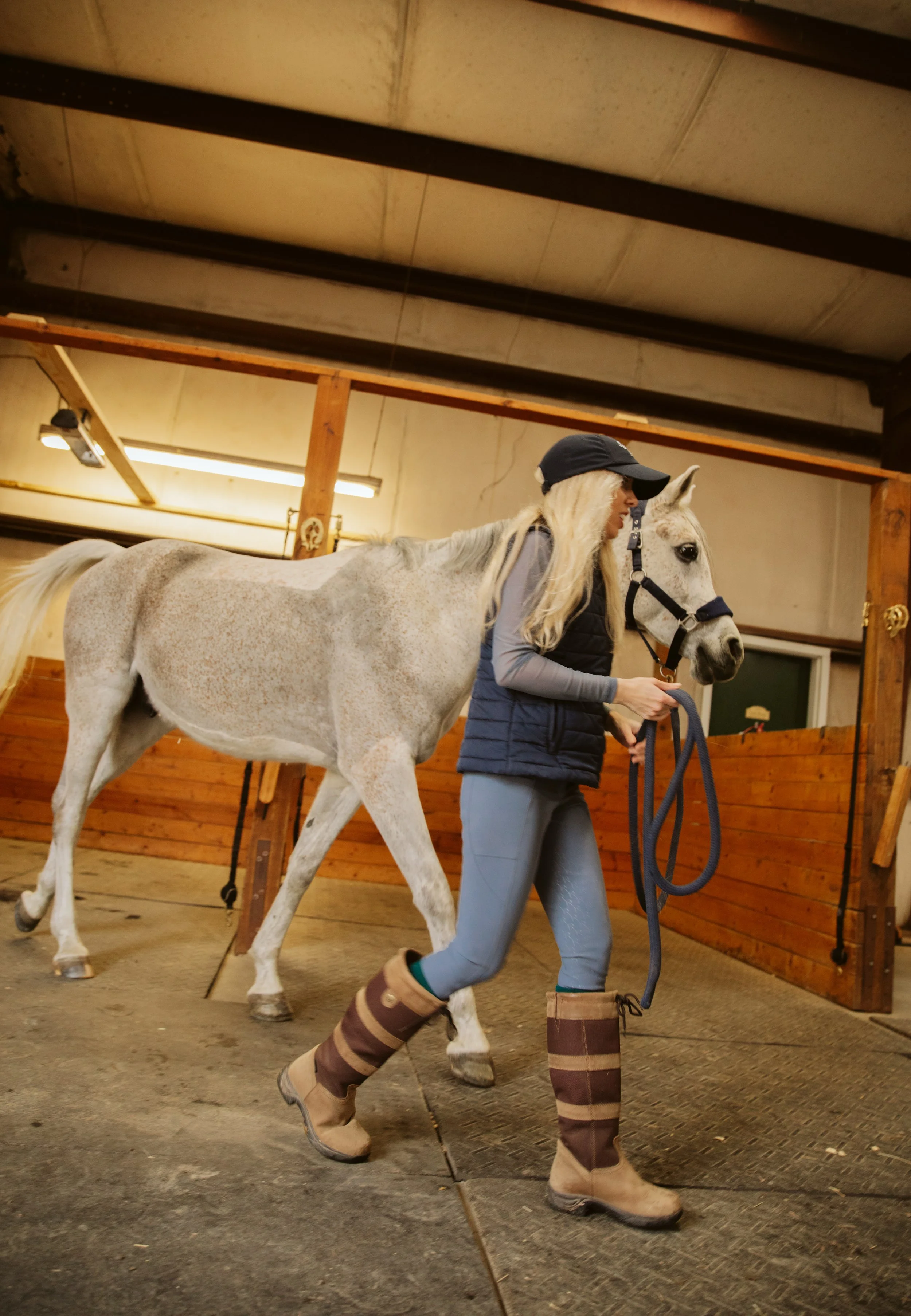Leading a White Arabian Horse Inside the Barn