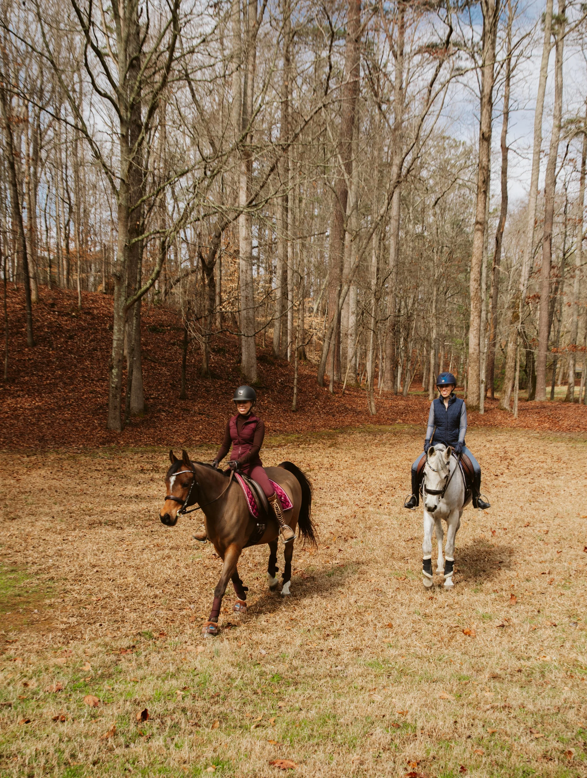 Trail Ride Training in Georgia Woods
