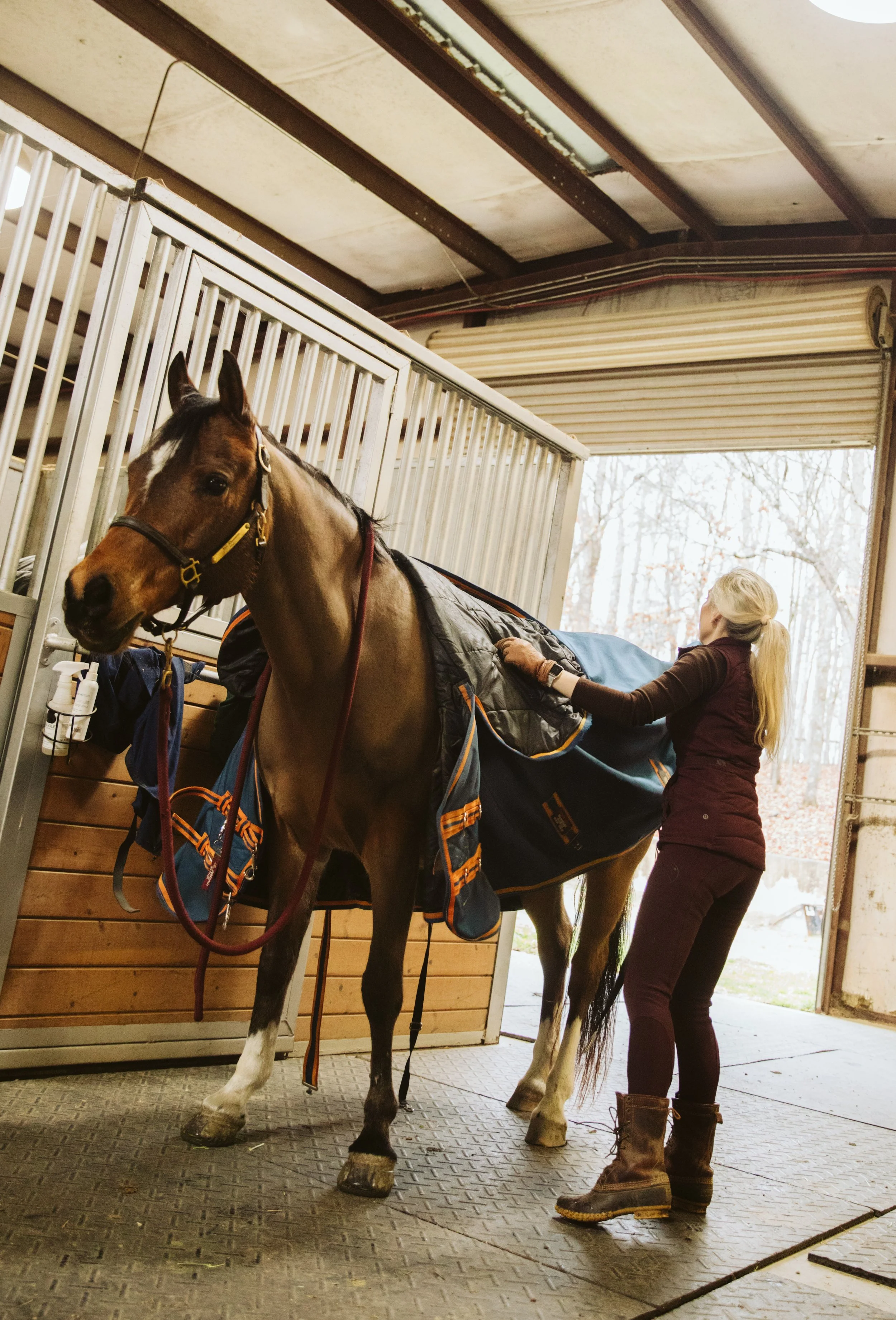 Group Riding Lesson at J.A.G Arabians