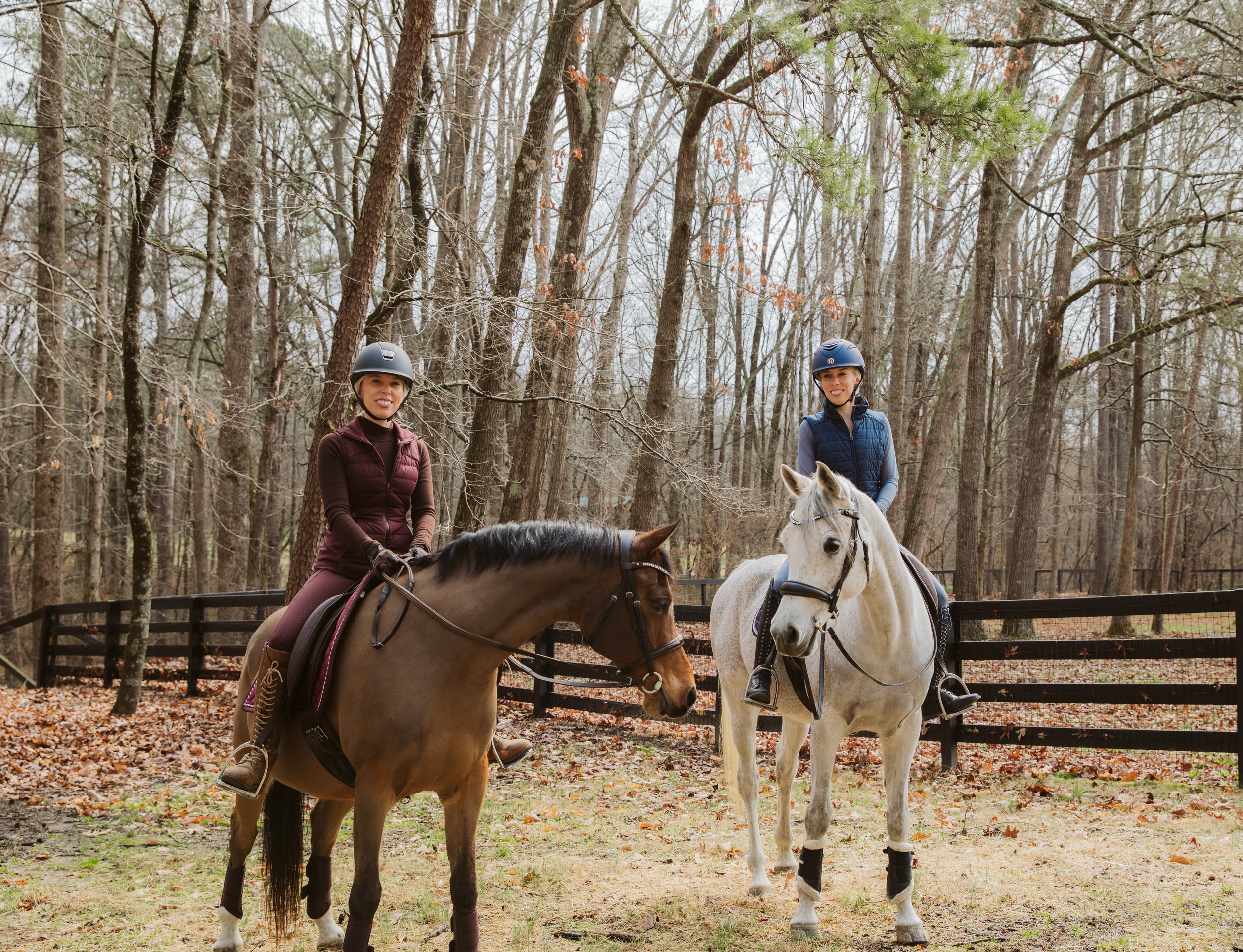 Walking Arabian Horses Through the Arena