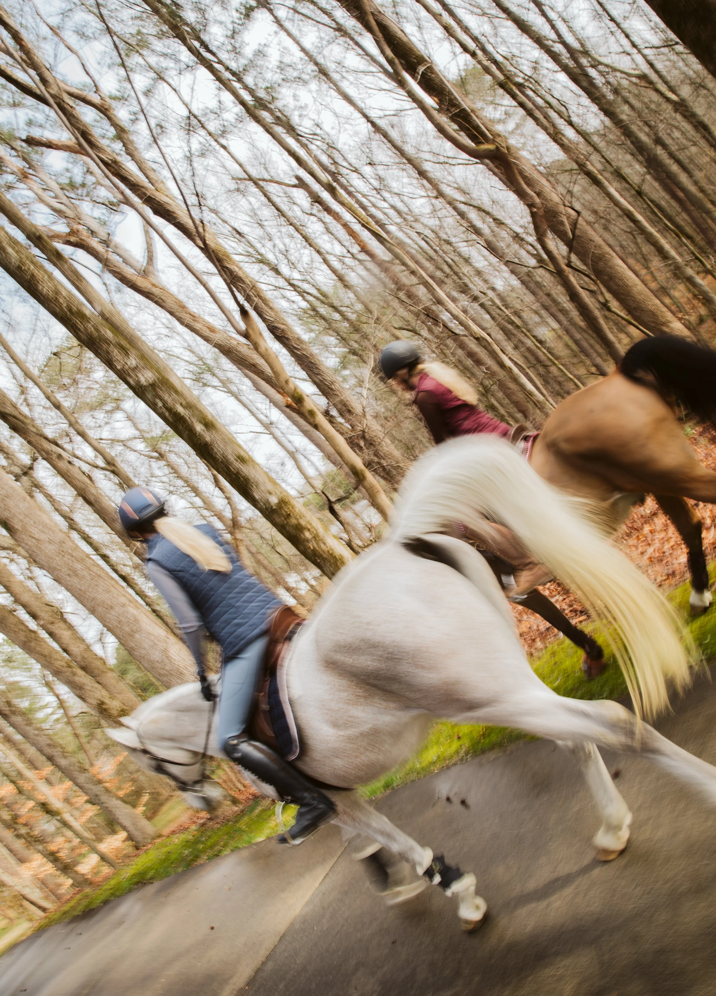 Cleaning Hooves Before Riding