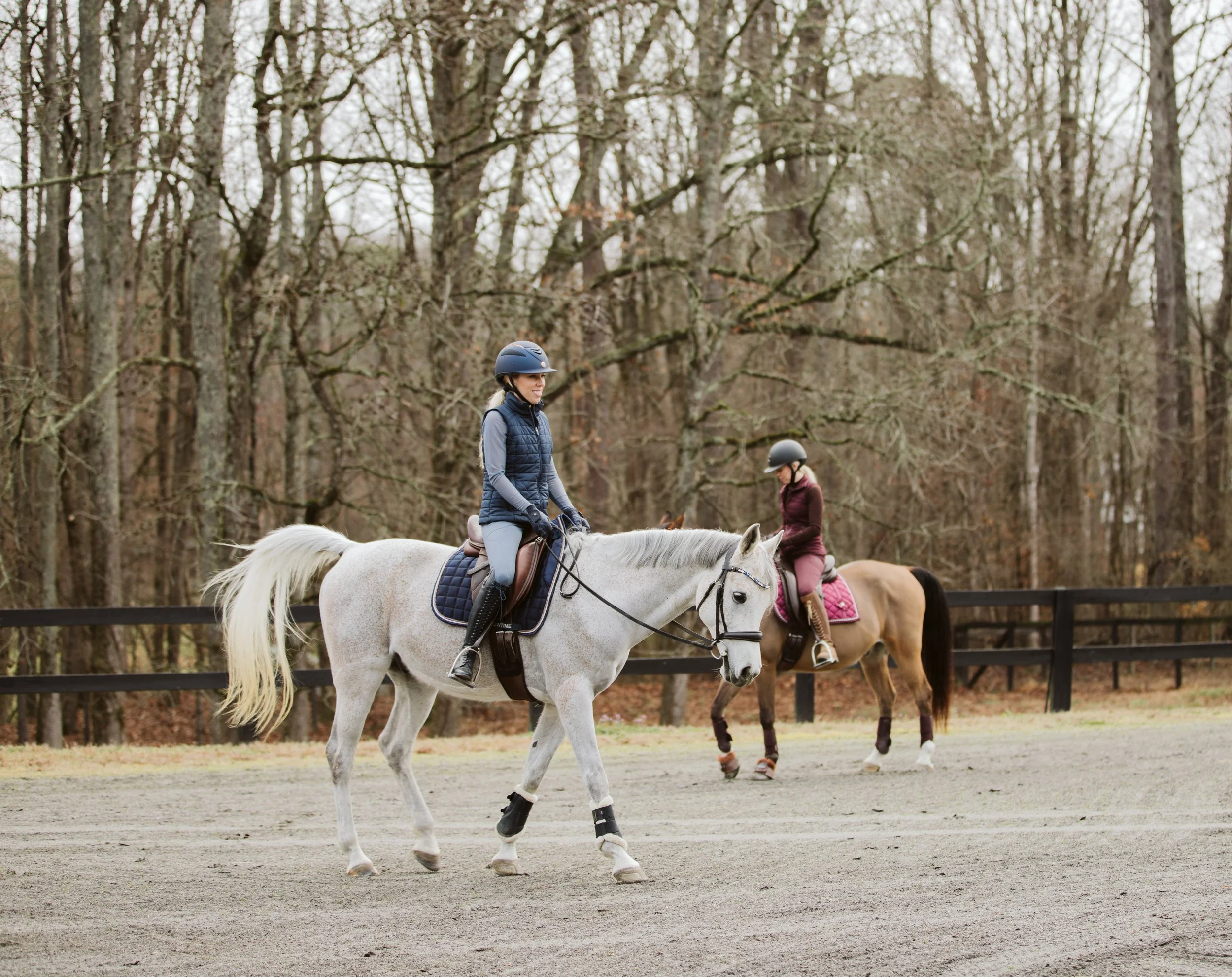 Confident Rider on Arabian Horse