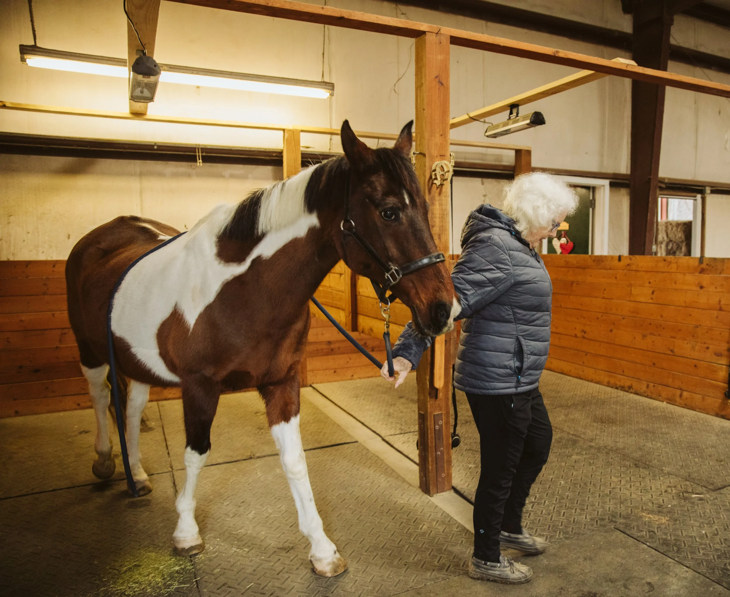 Adjusting Stable Equipment at Horse Boarding Barn