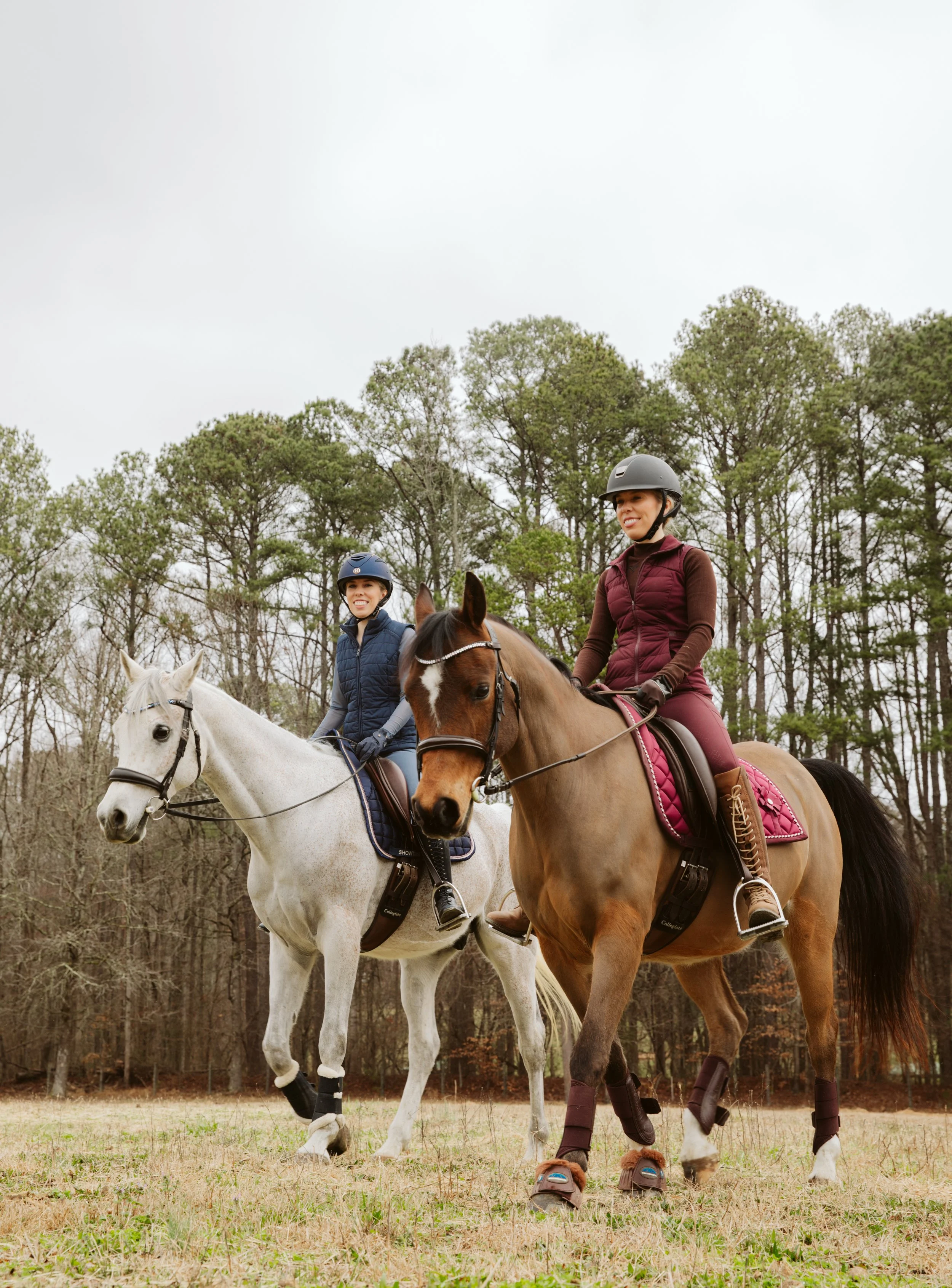 The Heart of the Barn: Behind the Scenes at J.A.G Arabians in Georgia