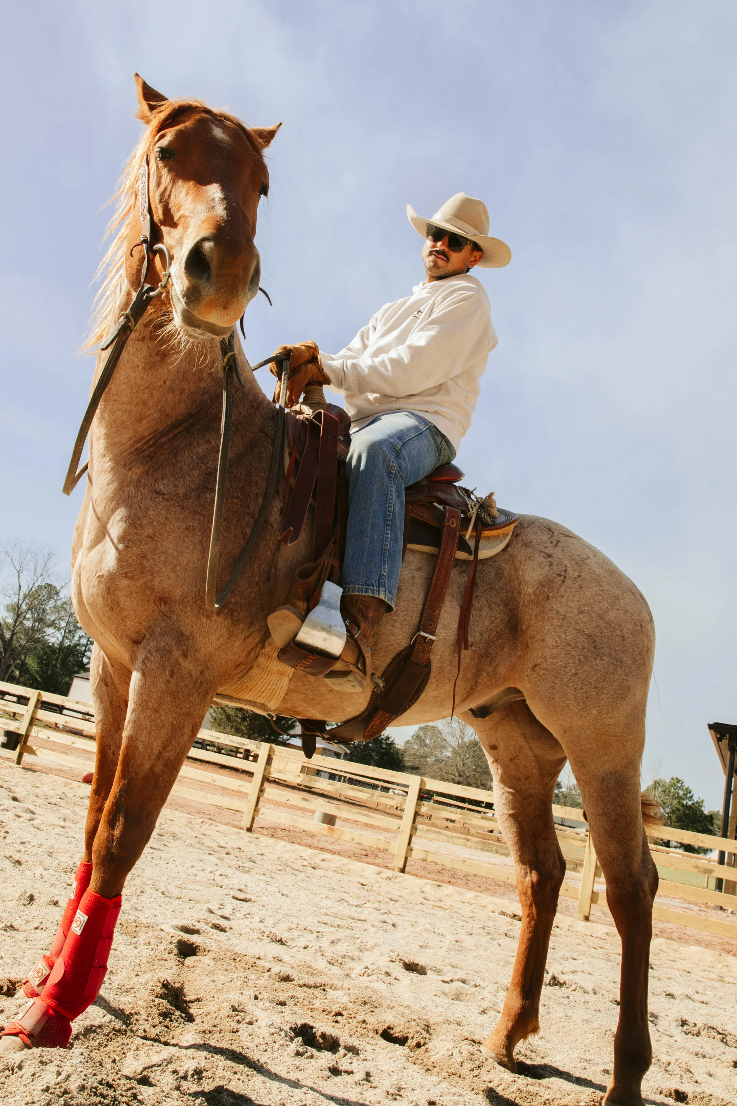 stephany-barboza-ga-photographer-equestrian-1K9A1462 2.JPG