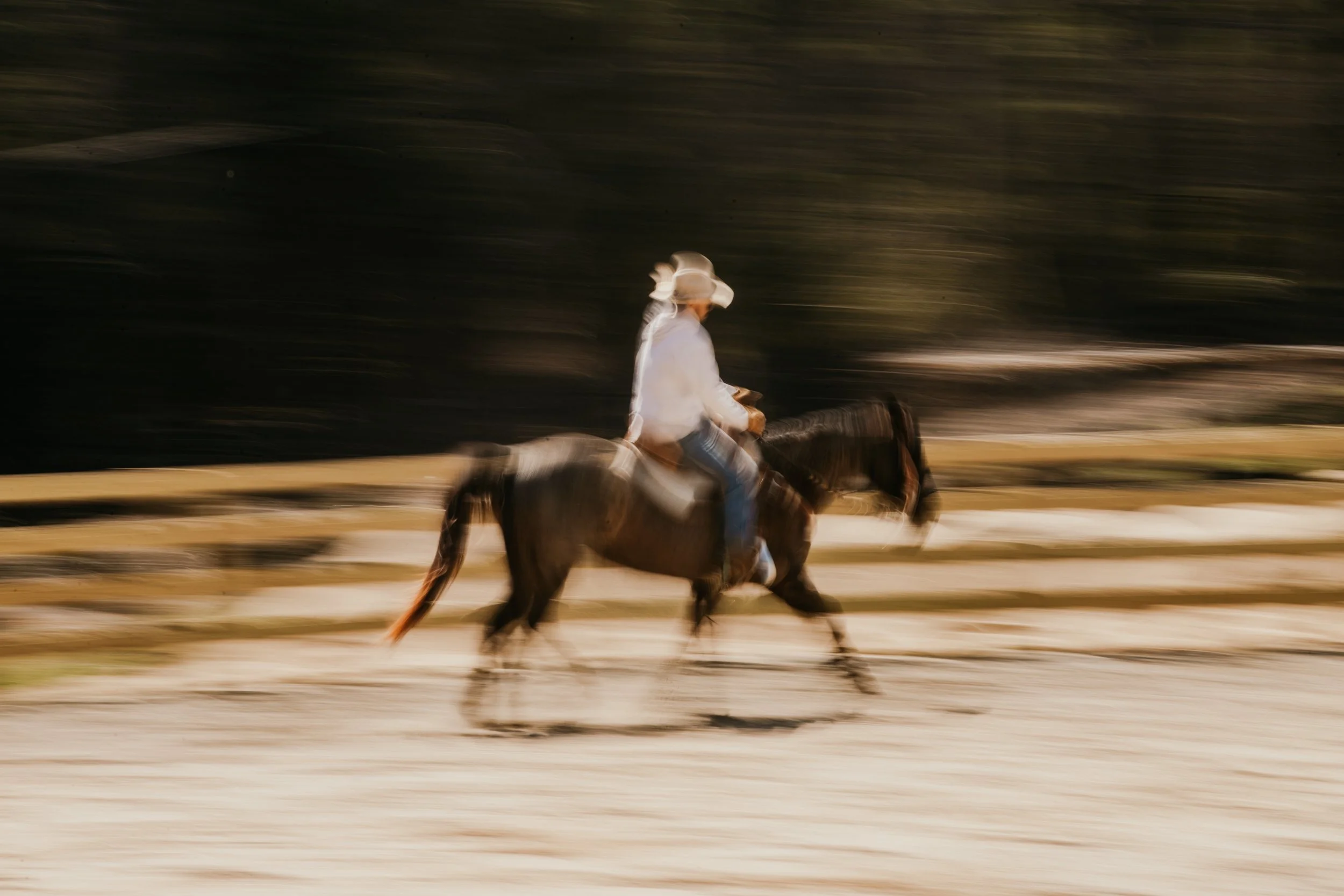 stephany-barboza-ga-photographer-ranch-equineIMG_1101 2.JPG