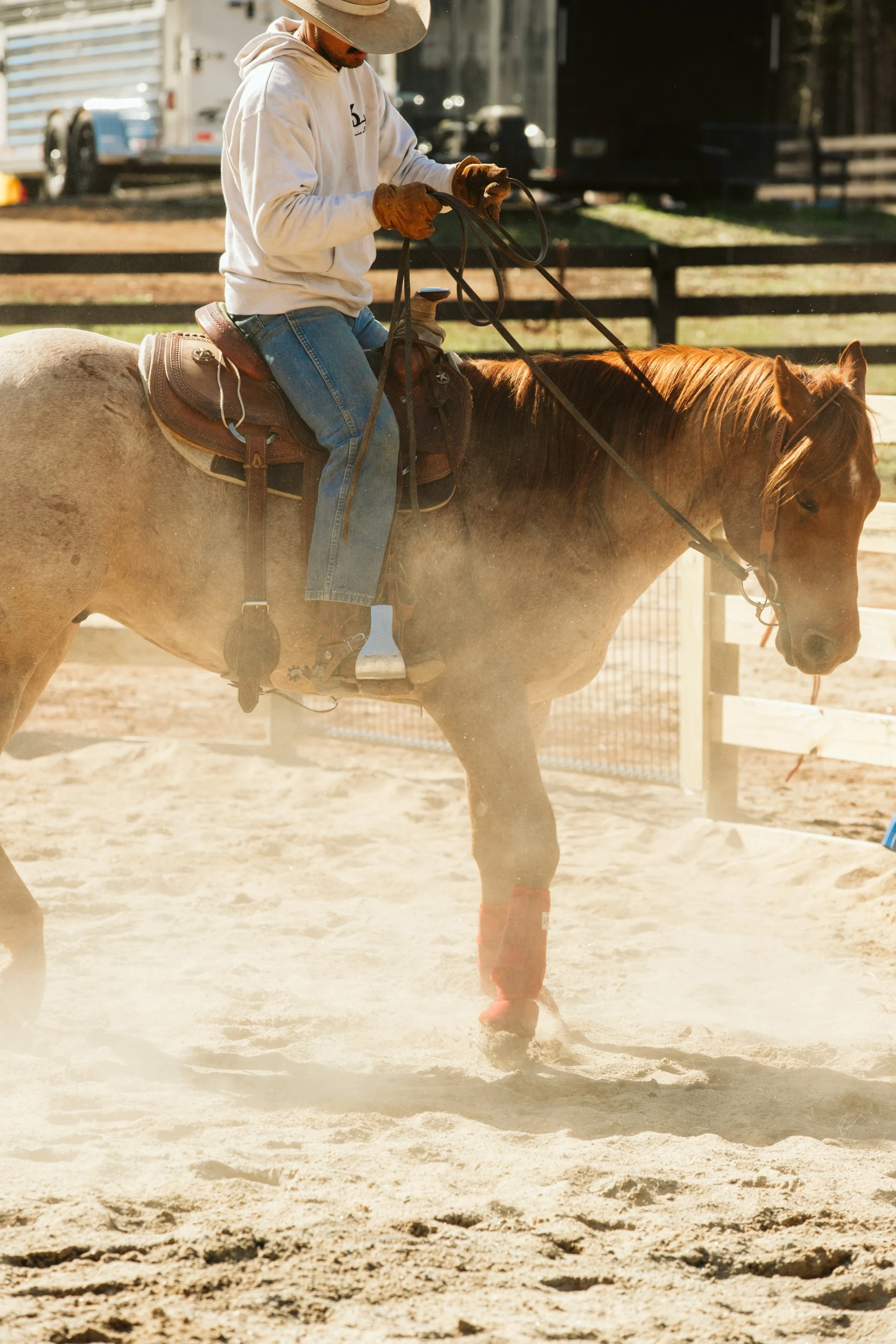 stephany-barboza-ga-photographer-ranch-equineIMG_1220 2.JPG