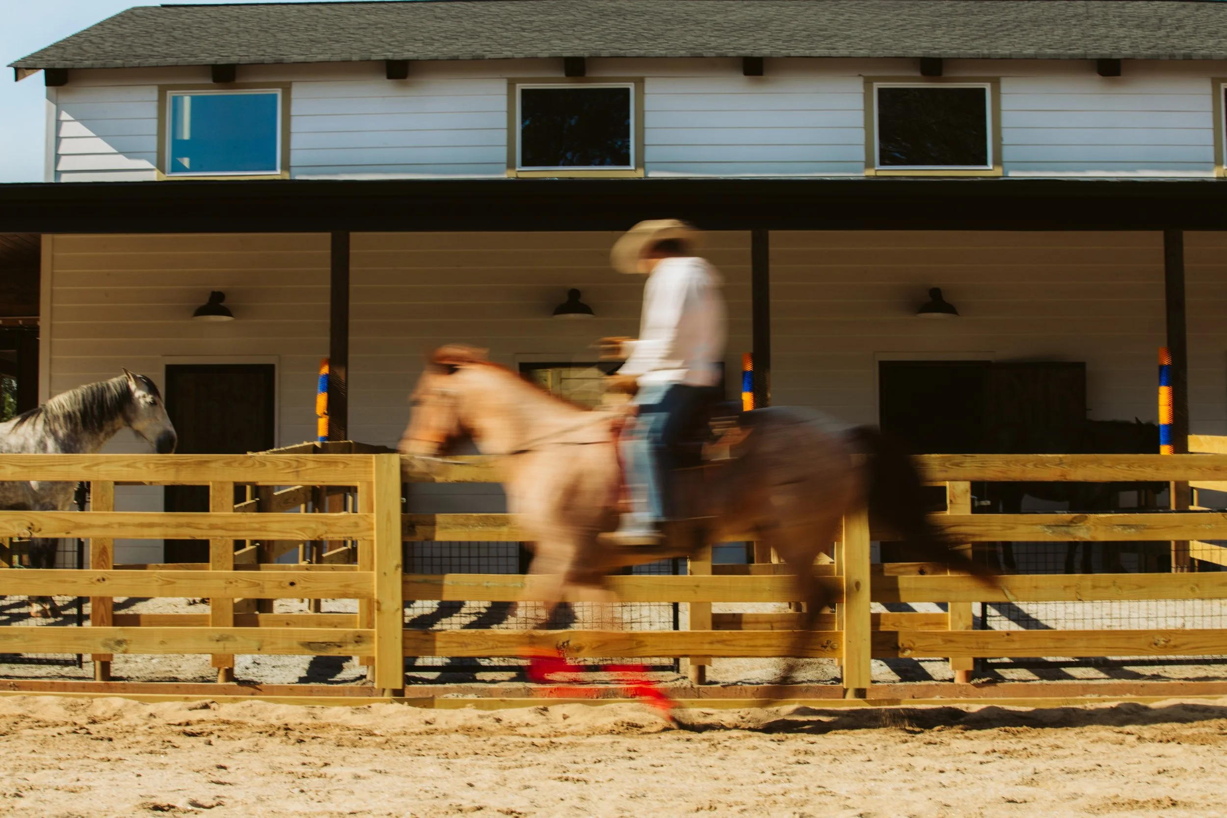 stephany-barboza-ga-photographer-ranch-equineIMG_1567 2.JPG