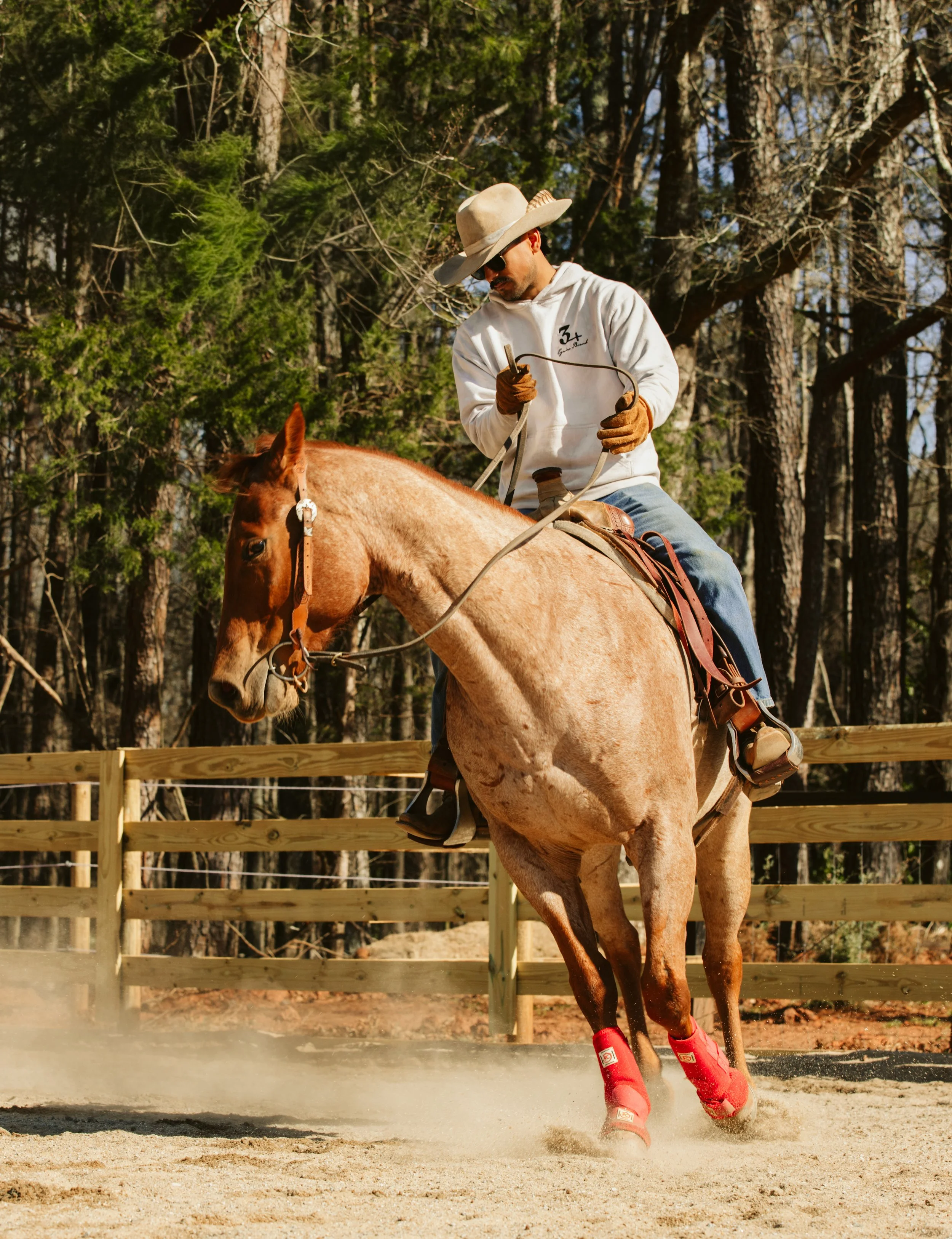 stephany-barboza-ga-photographer-ranch-equineIMG_1349 2.JPG