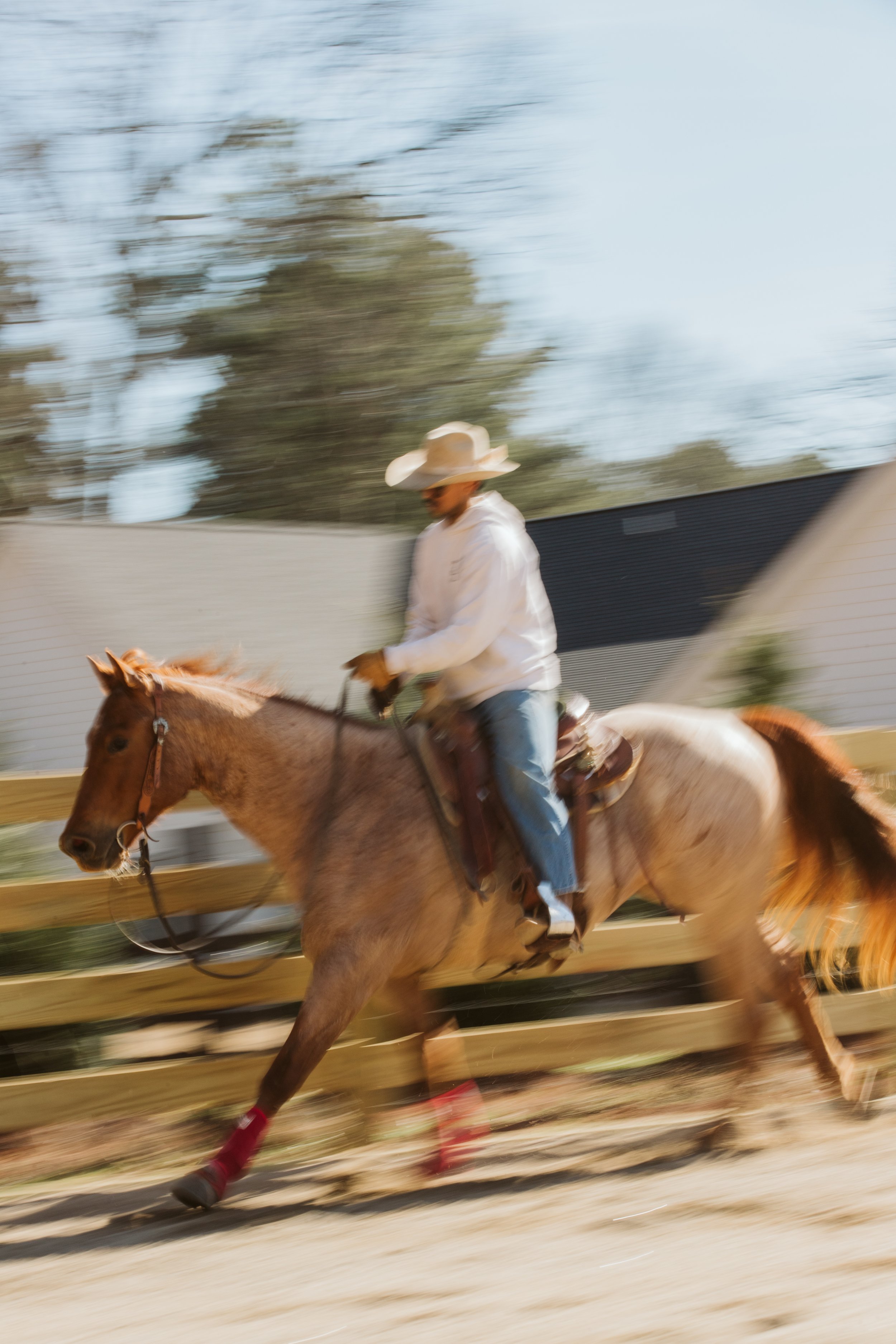 stephany-barboza-ga-photographer-ranch-equineIMG_1579.JPG
