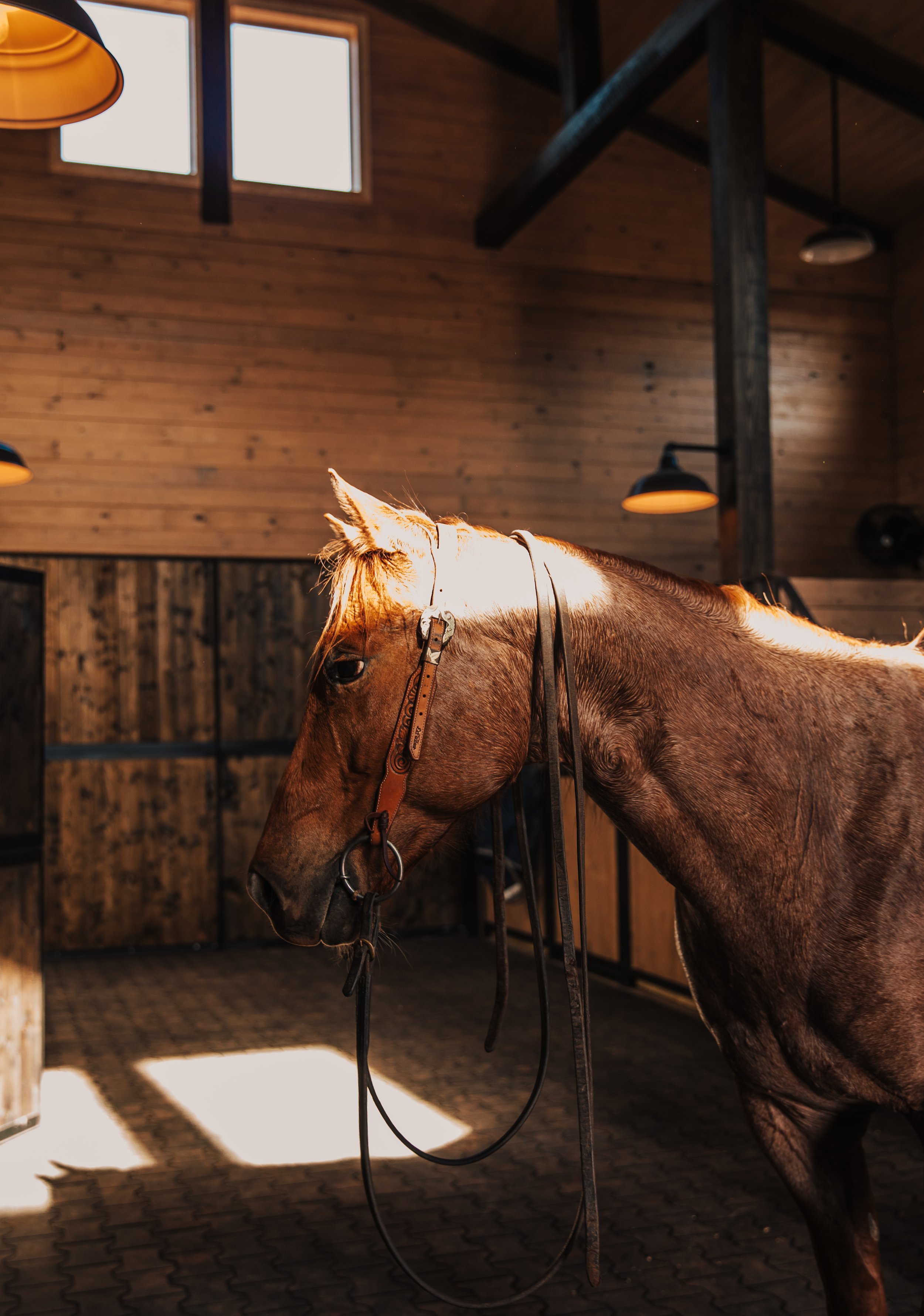 stephany-barboza-ga-photographer-western-1K9A1959 2.JPG