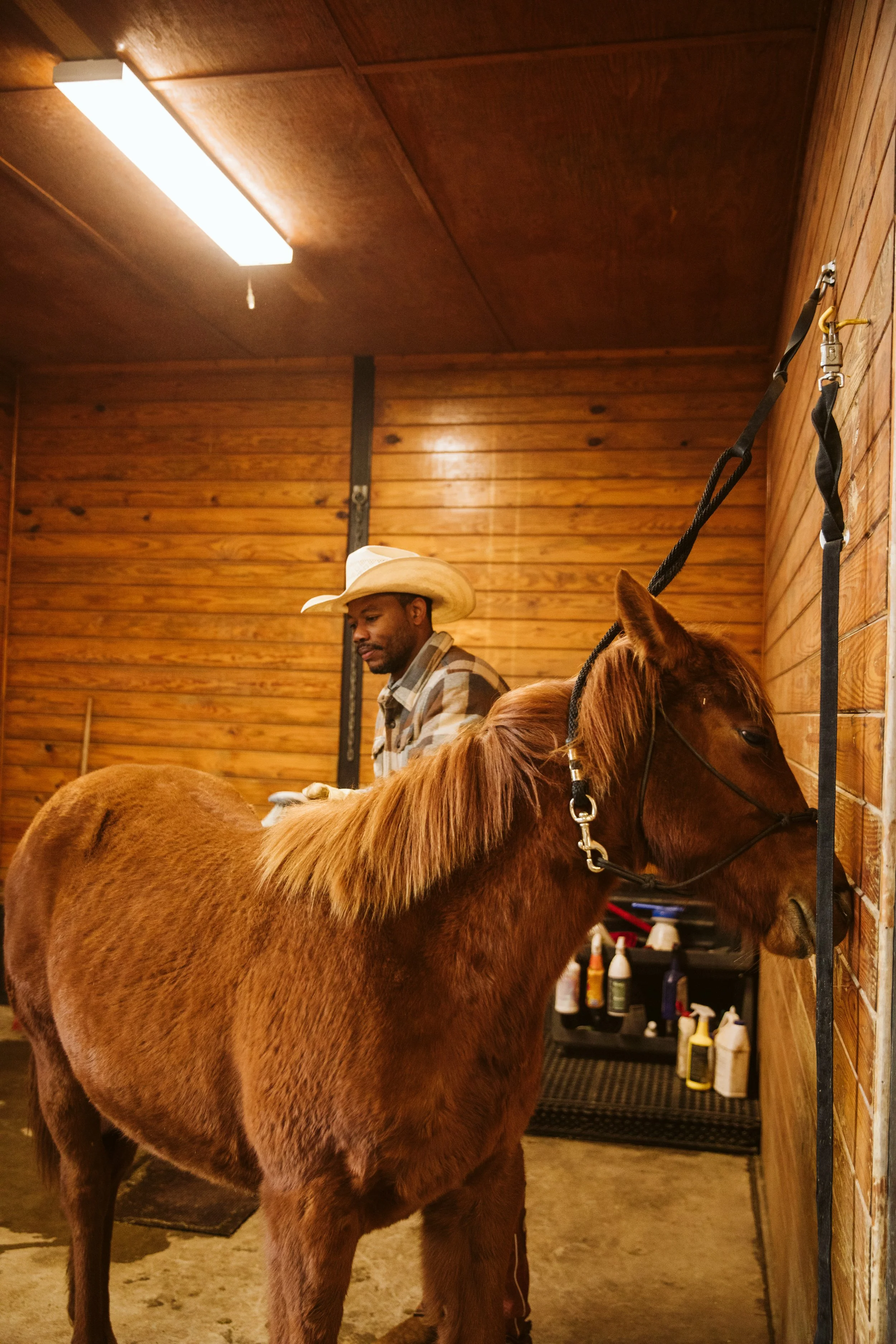 the foundation starts here