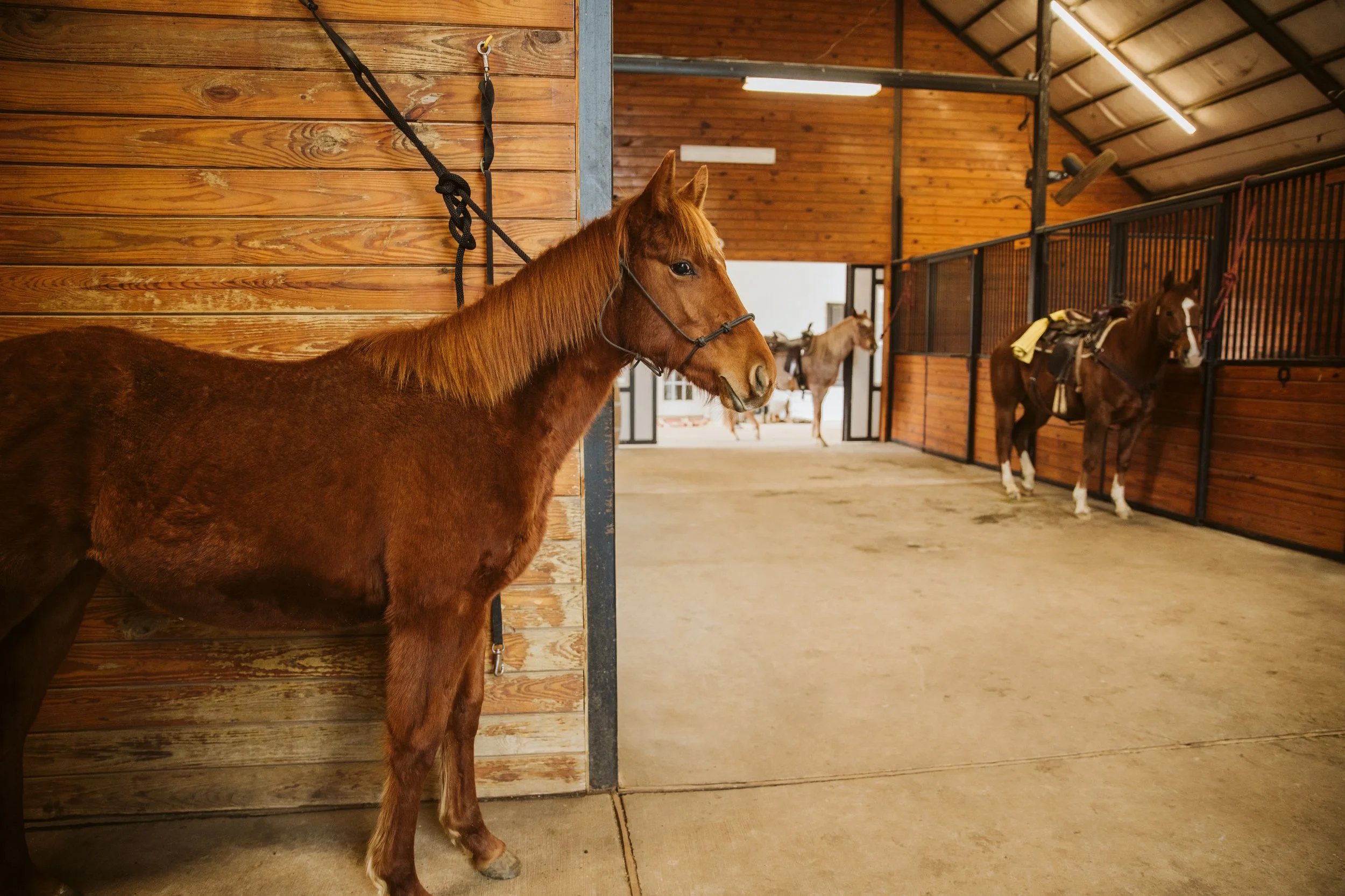 confidence in the aisle