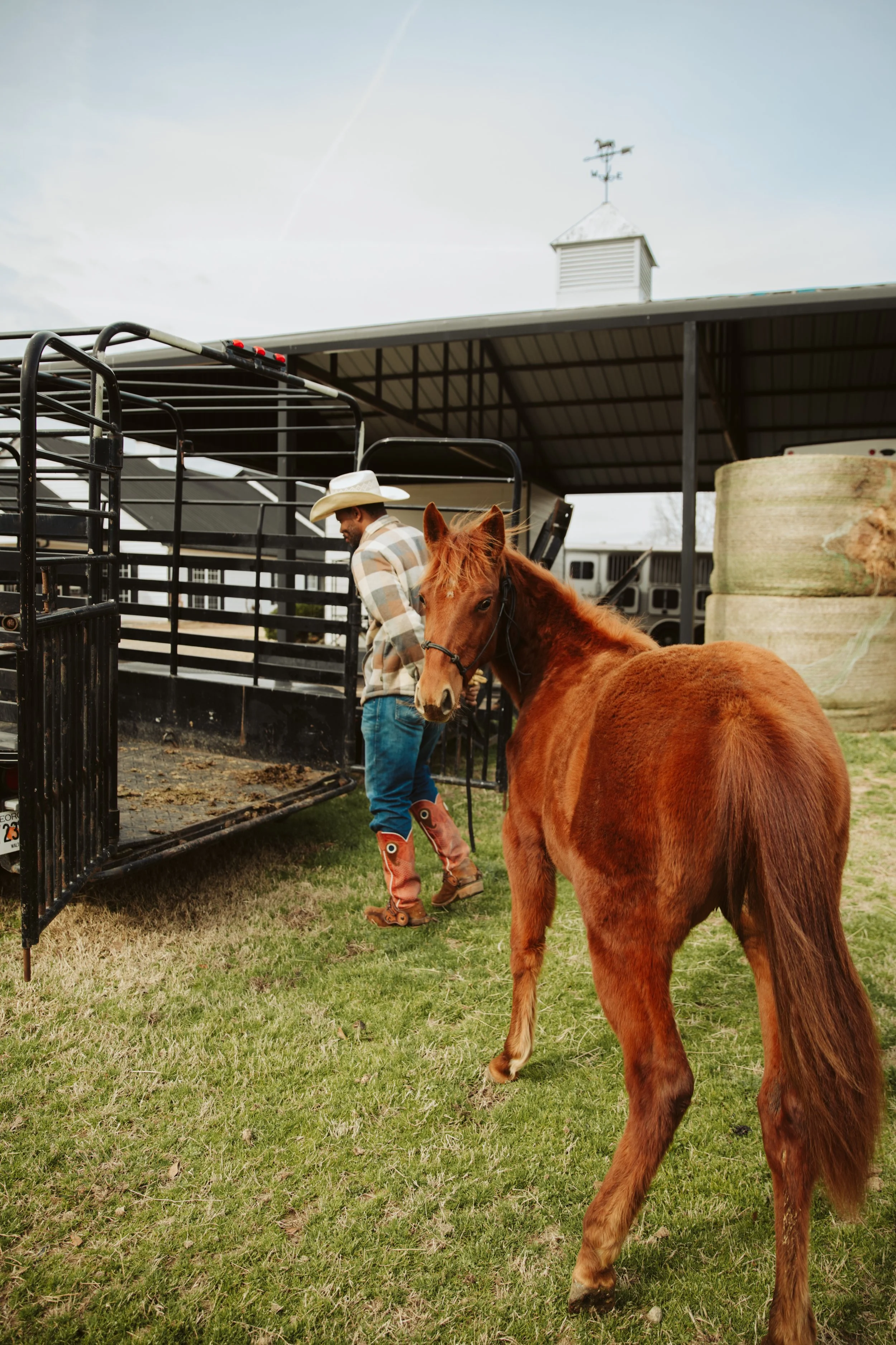 first steps in training