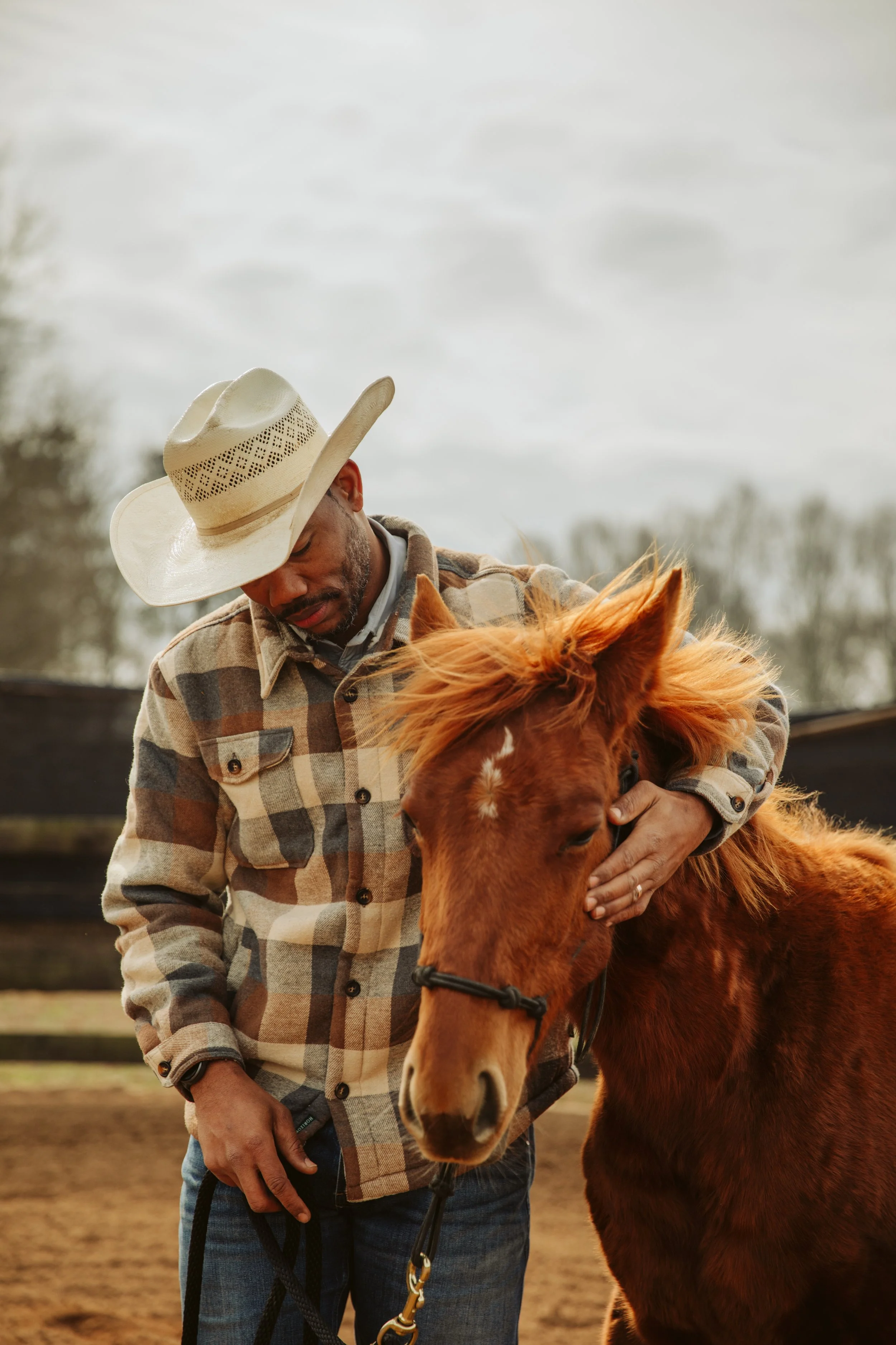  young horses standing beside their trainer at a professional boarding and training farm in Georgia. 