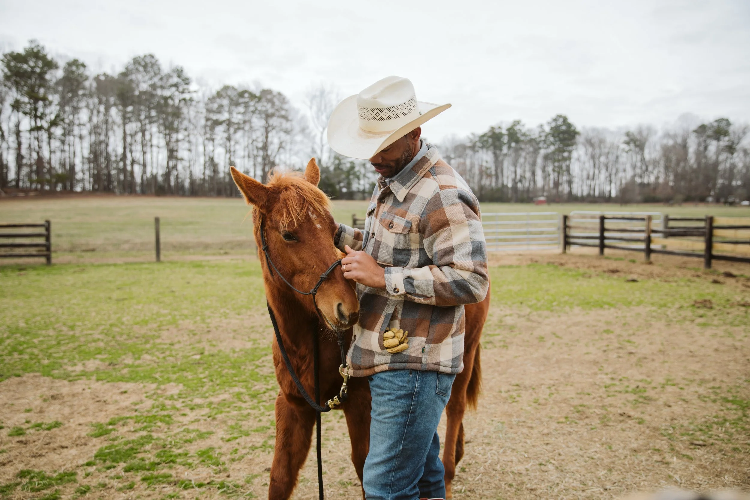 young horse and trainer