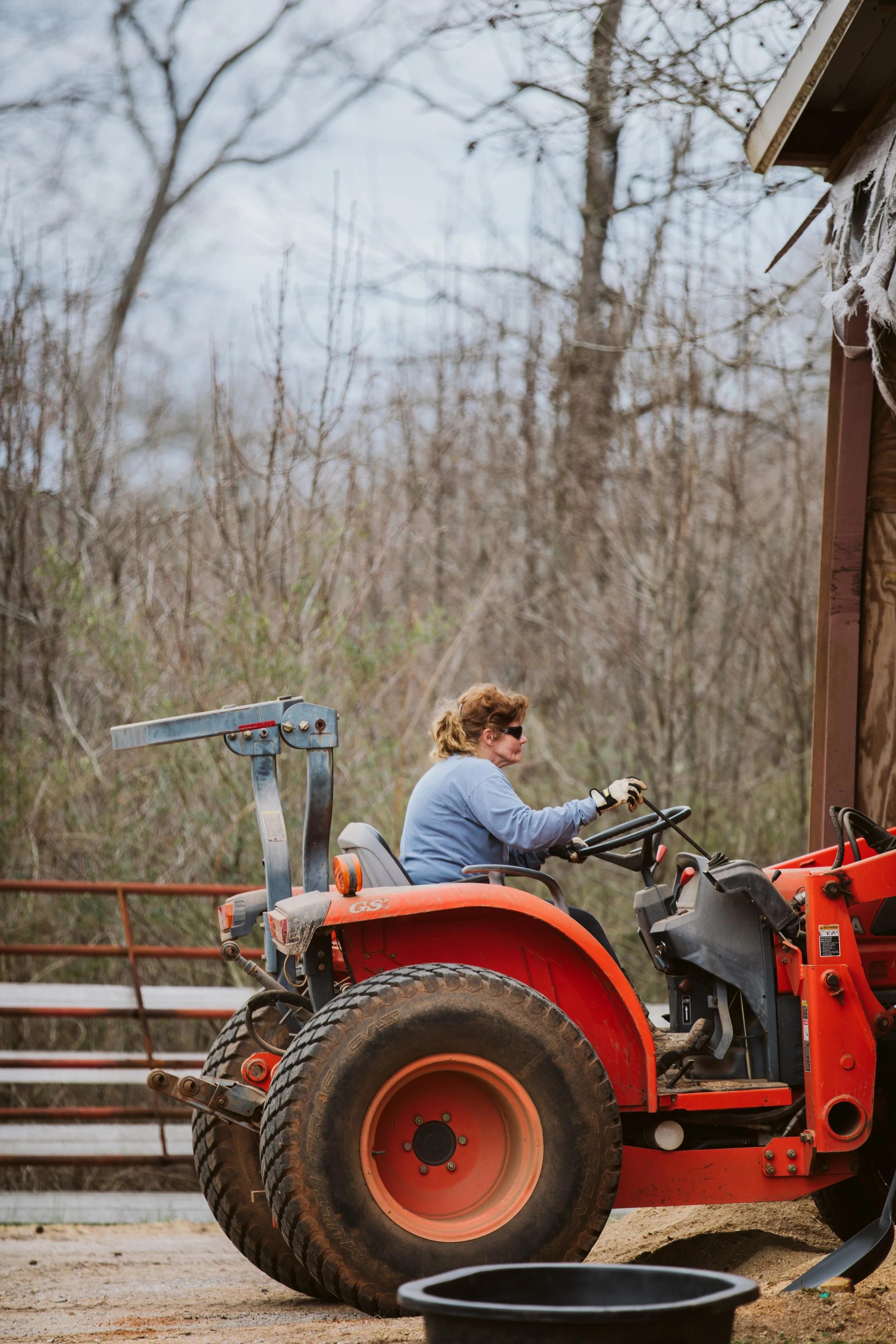 Maintaining Georgia Horse Facility Grounds