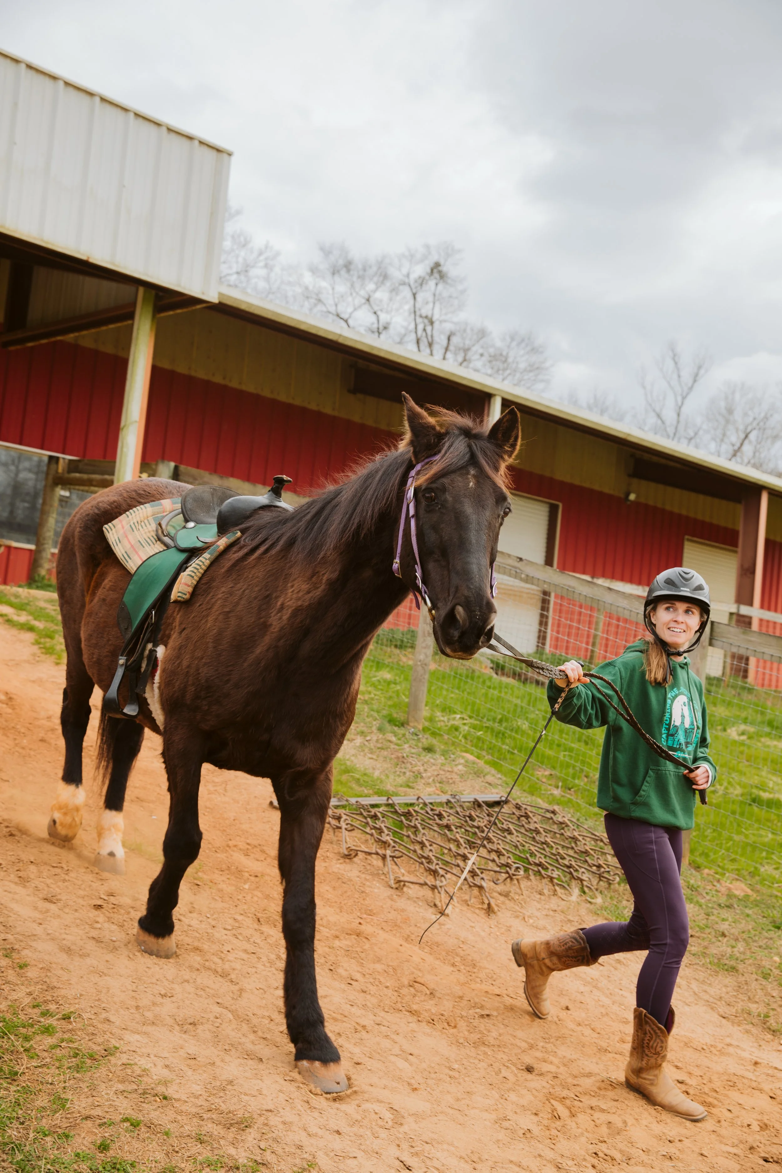 Horse Boarding Facility in Georgia