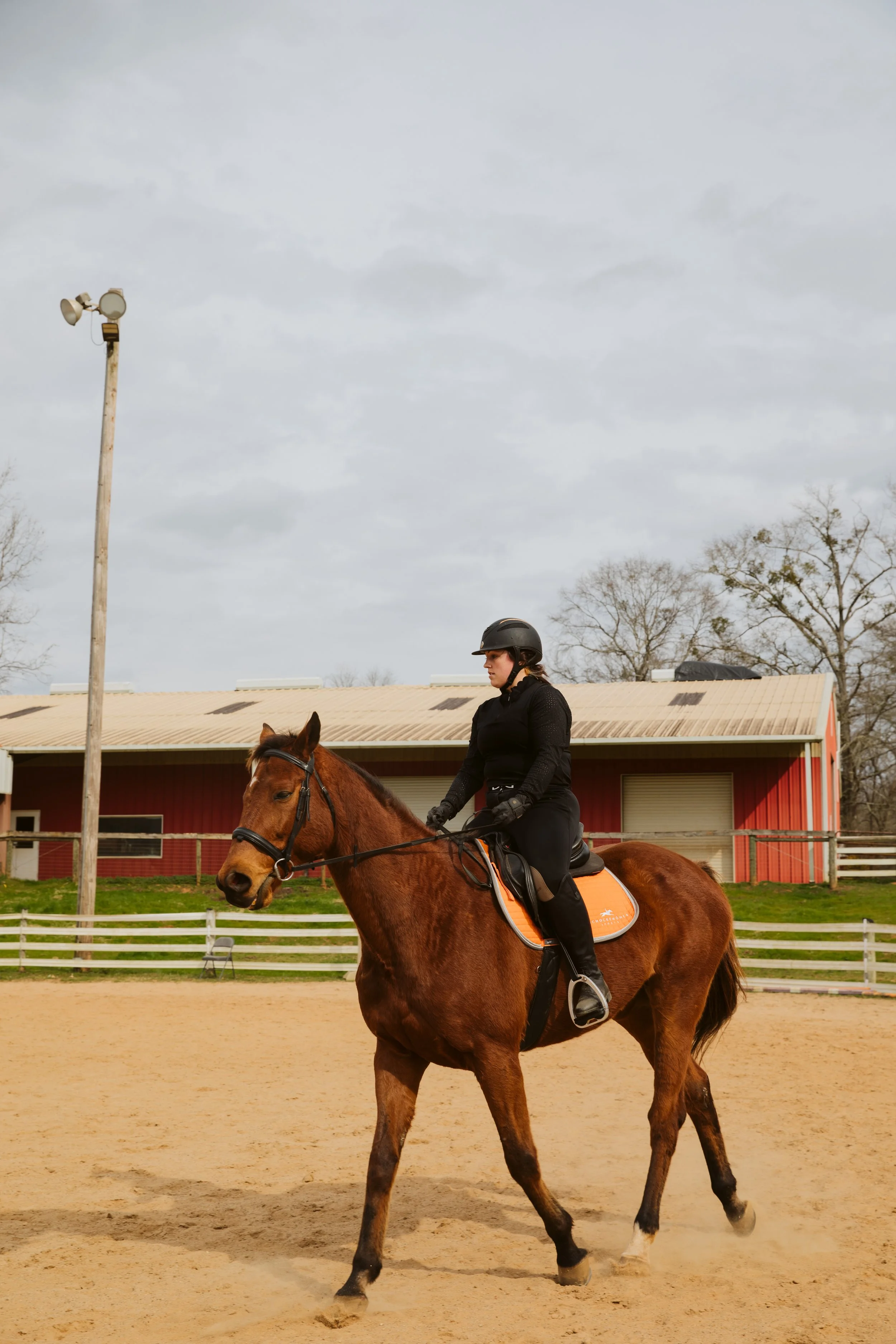 Outdoor Riding Arena in Georgia