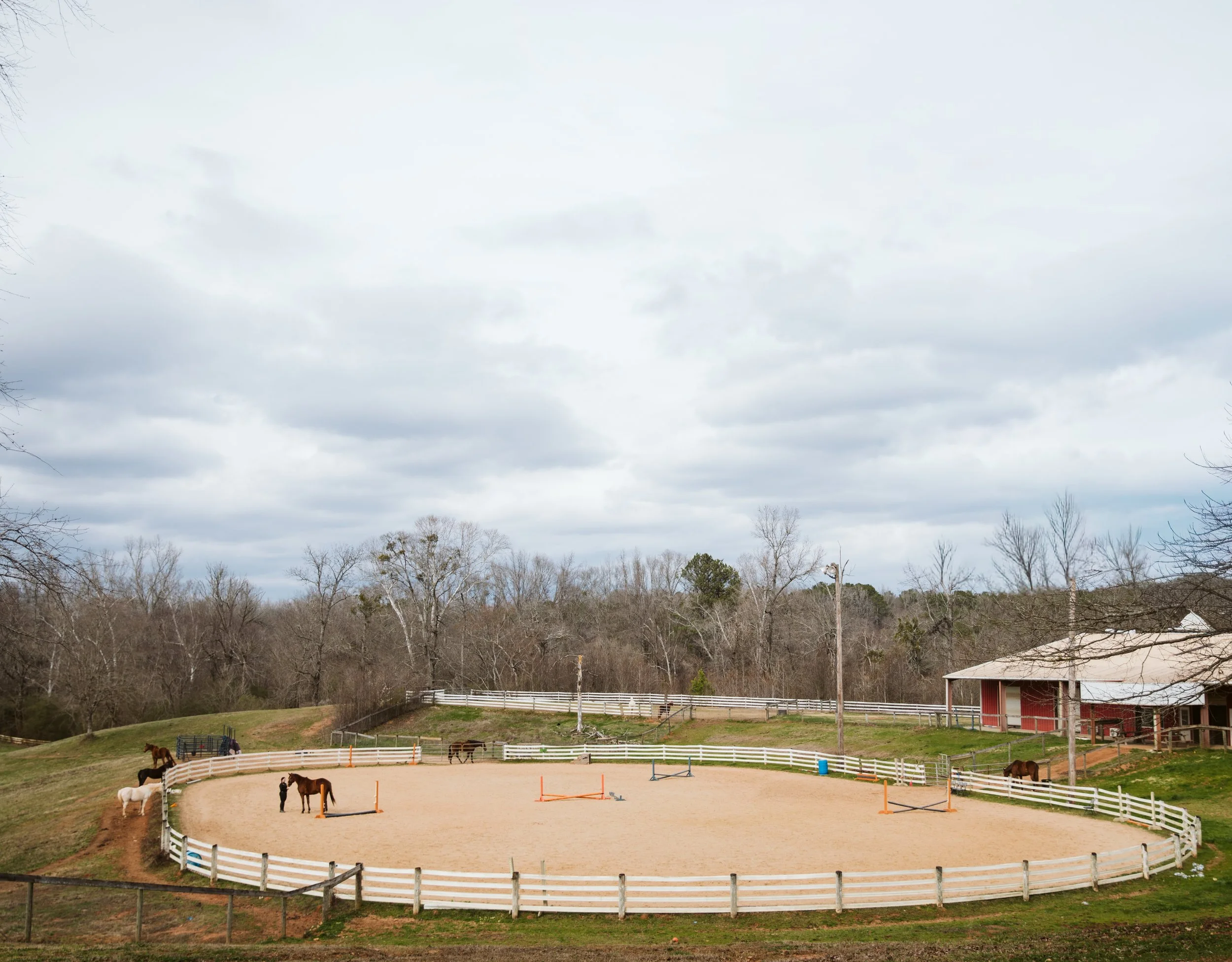 Professional Riding Arena in Georgia