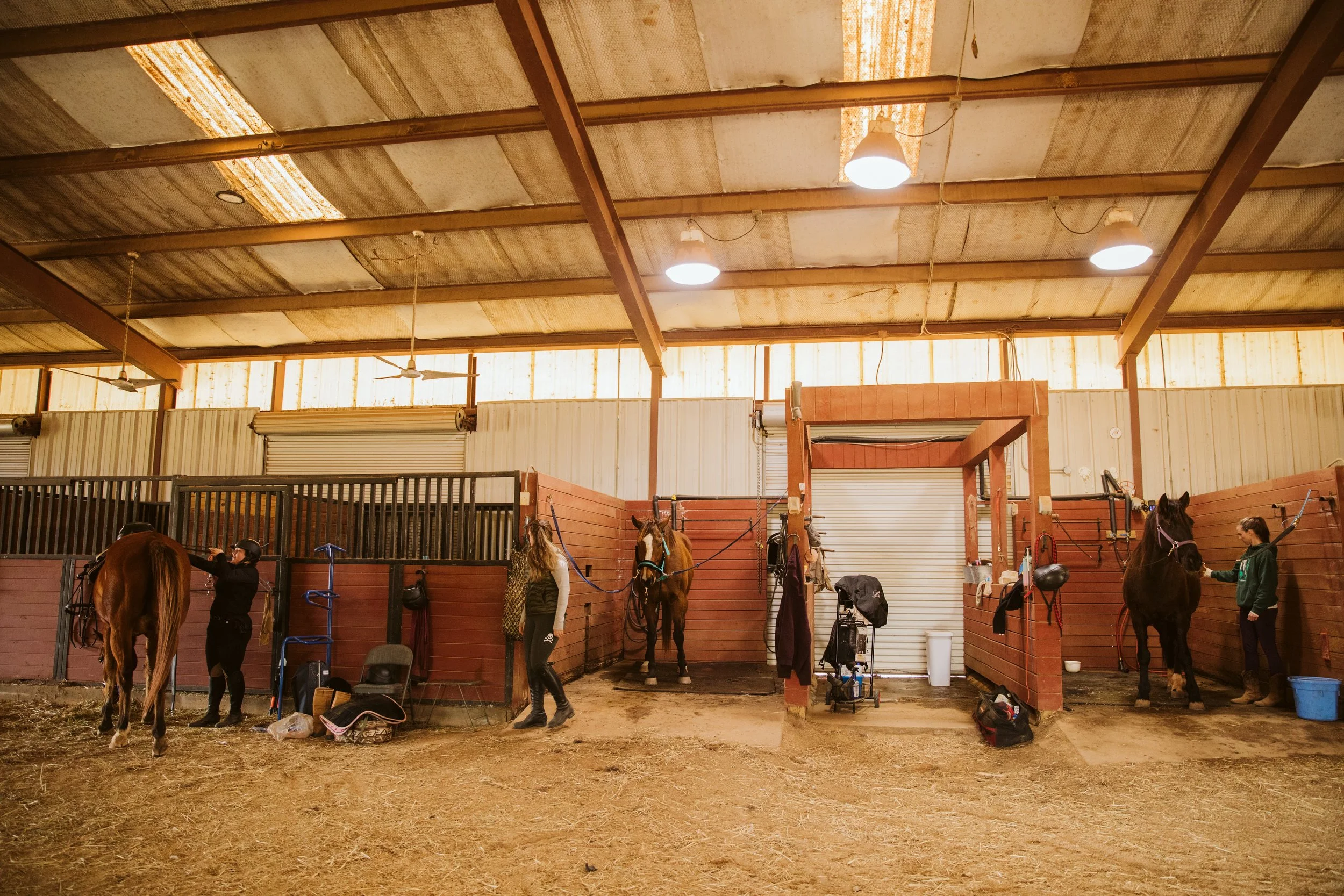 Georgia Horse Barn Interior