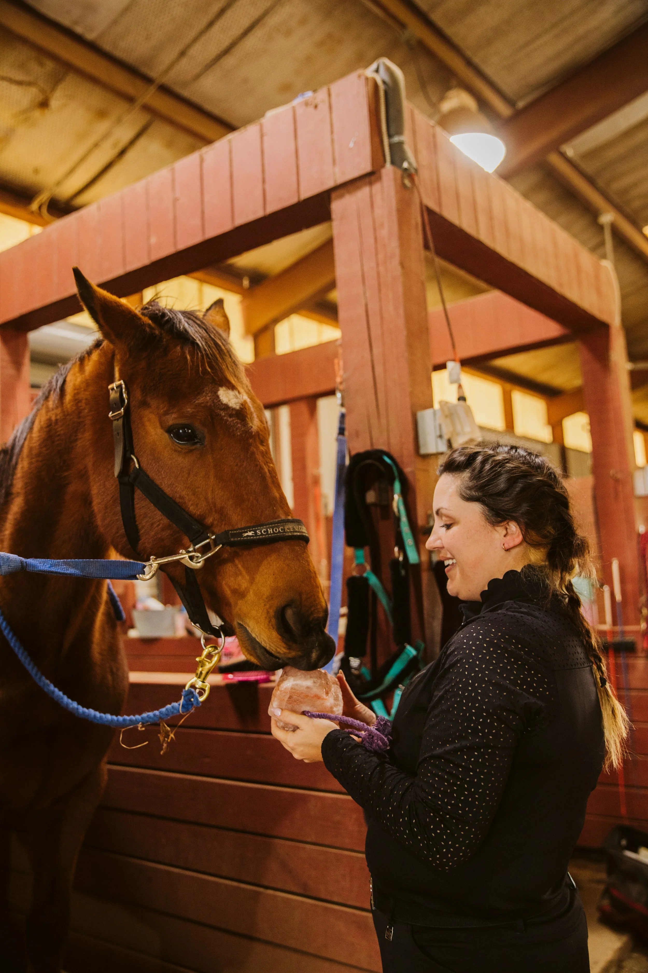 English Saddle at Georgia Stable