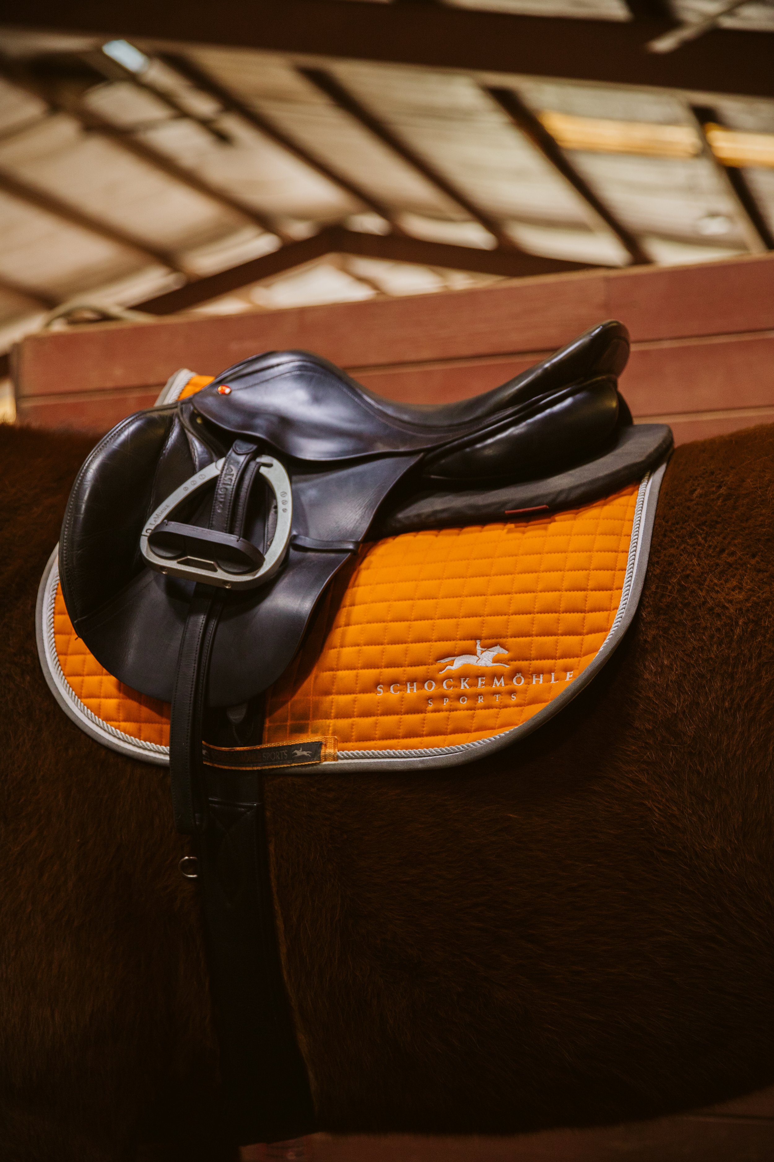 Youth Riding Lessons in Georgia