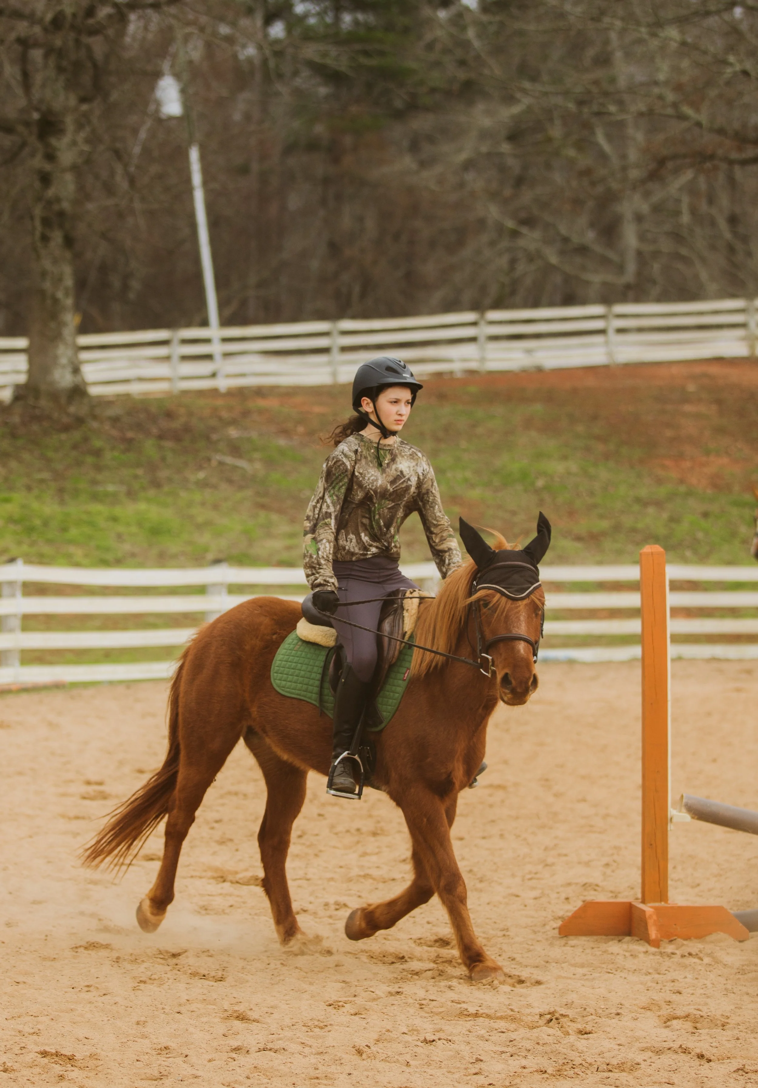  Rider guiding a horse over ground poles during a hunter jumper lesson in Georgia. 