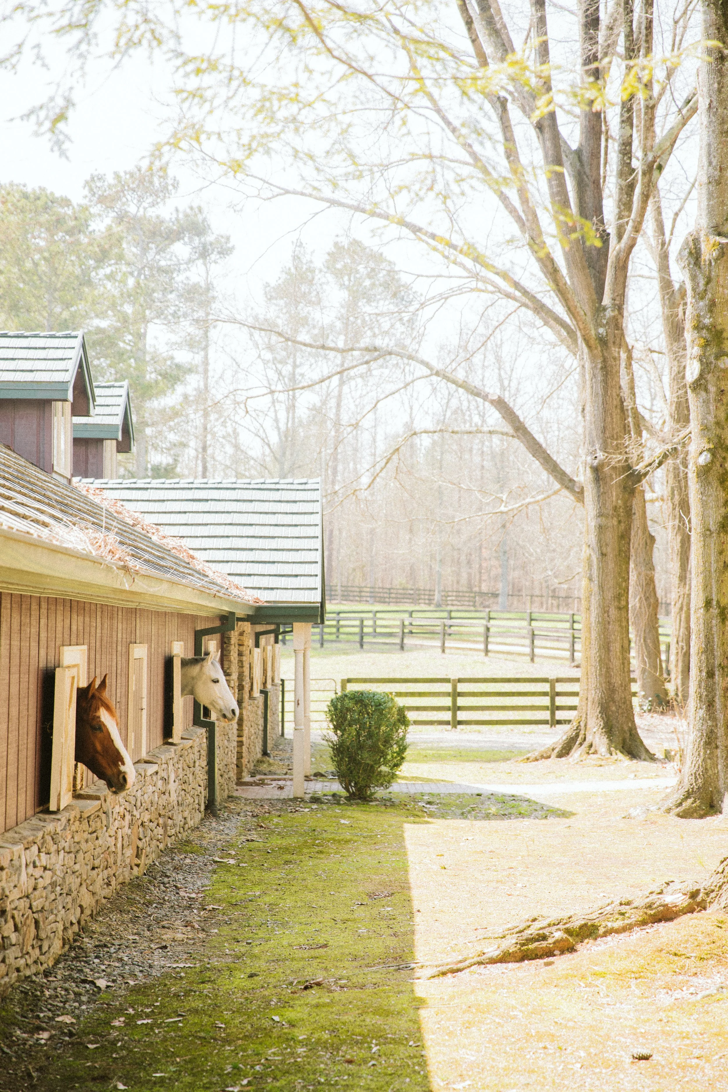 Farm Barn and Pasture Scene