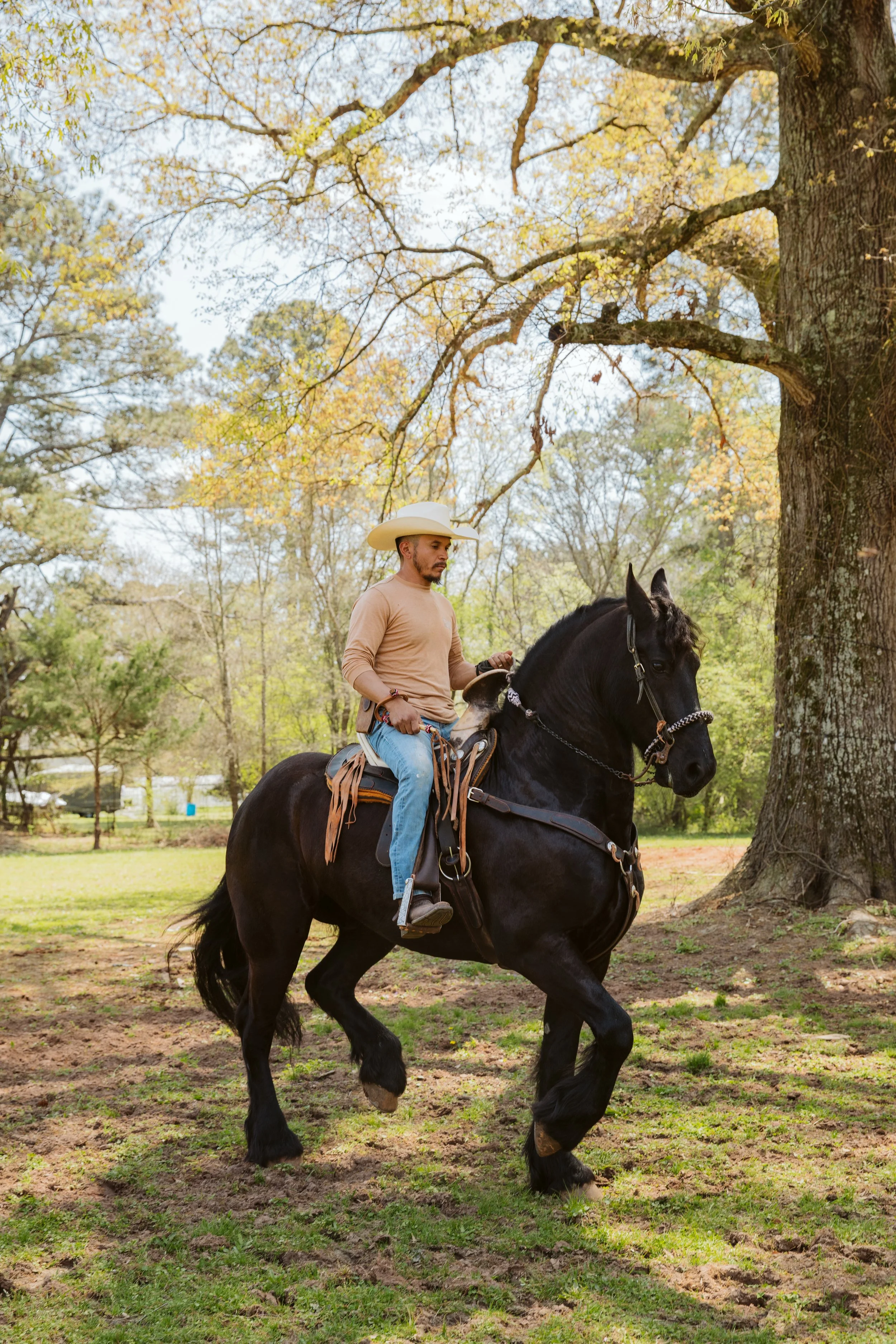 Man riding black horse through wooded area