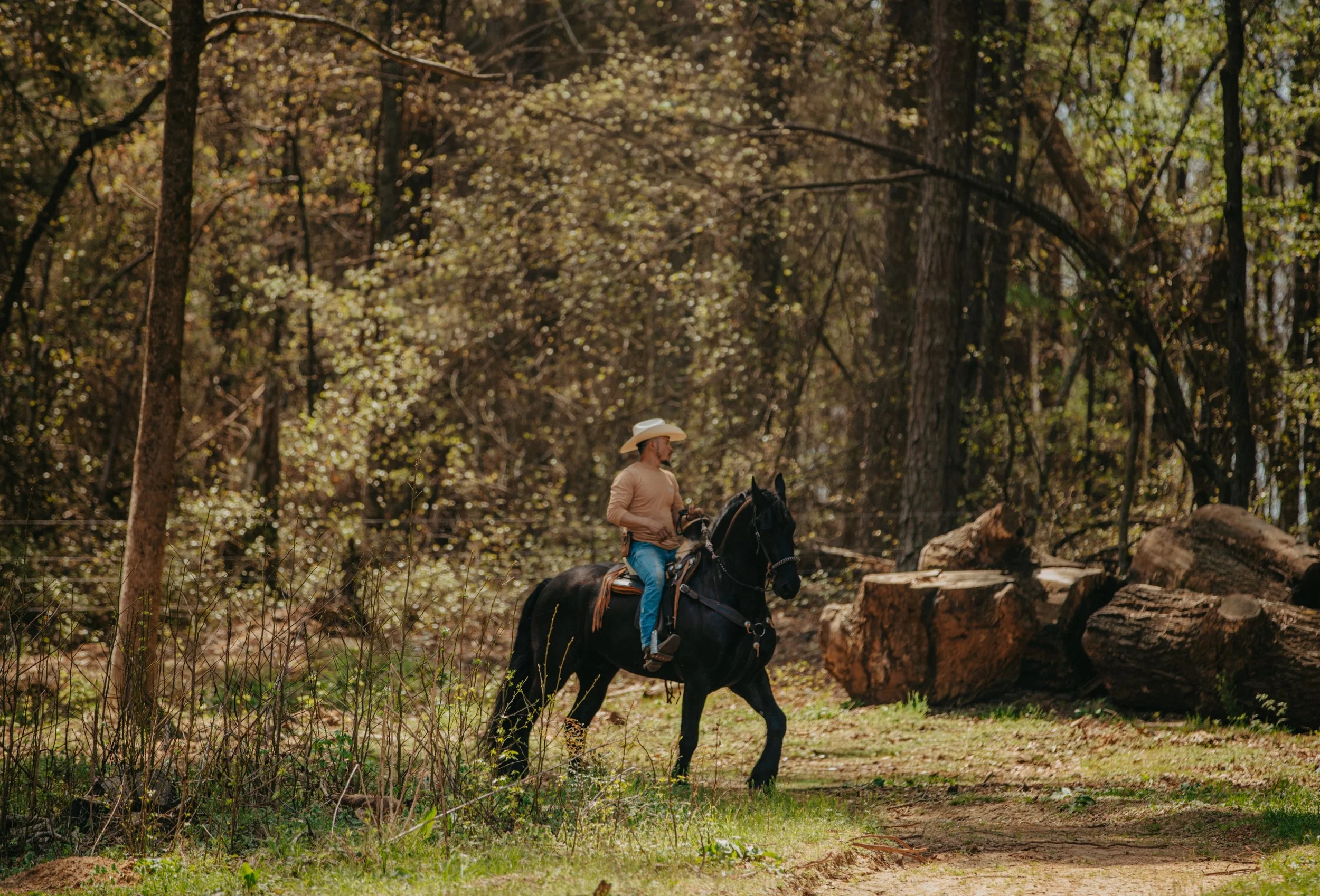 ga photographing a cowboy in friesian