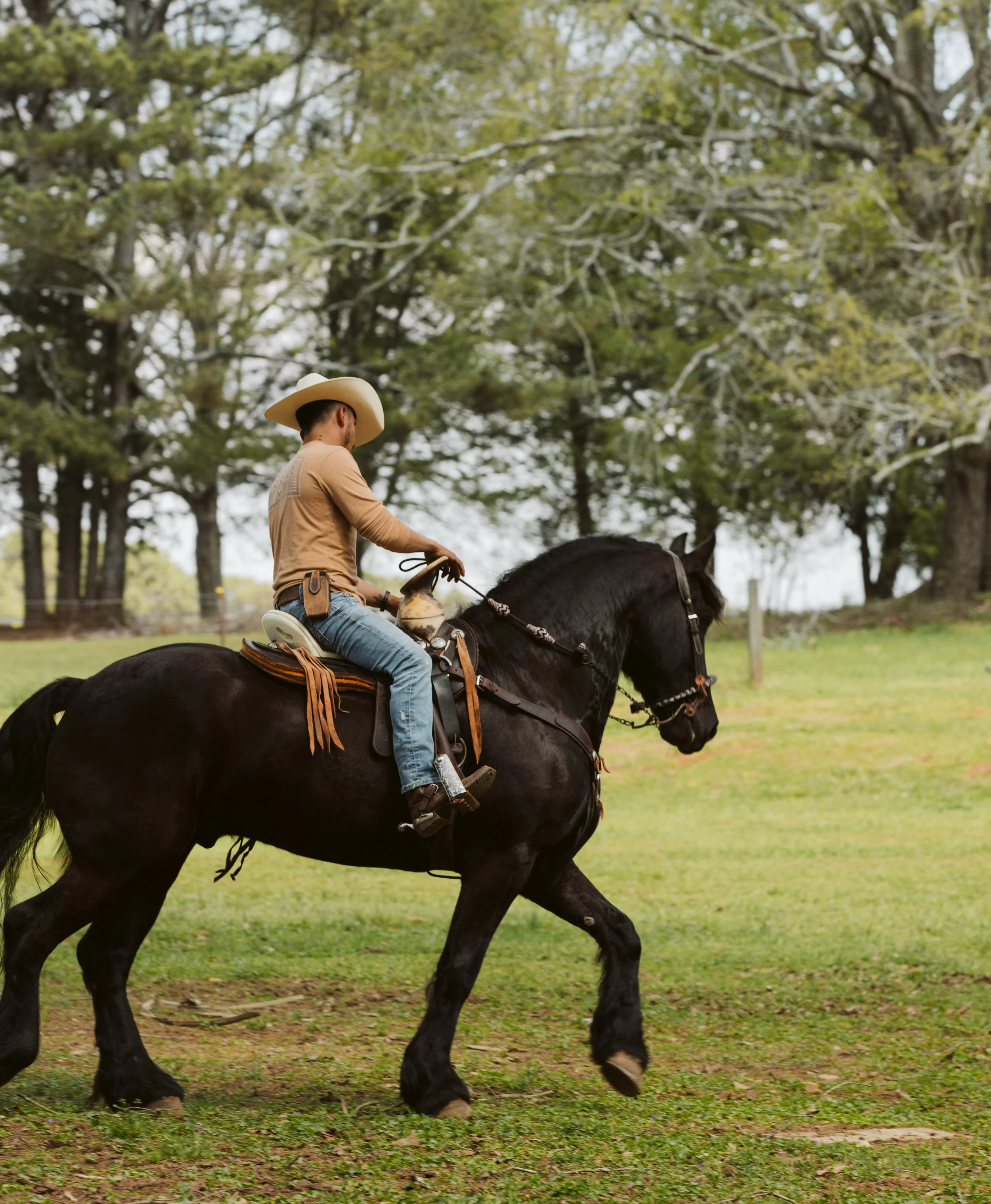Cowboy riding black horse in open field