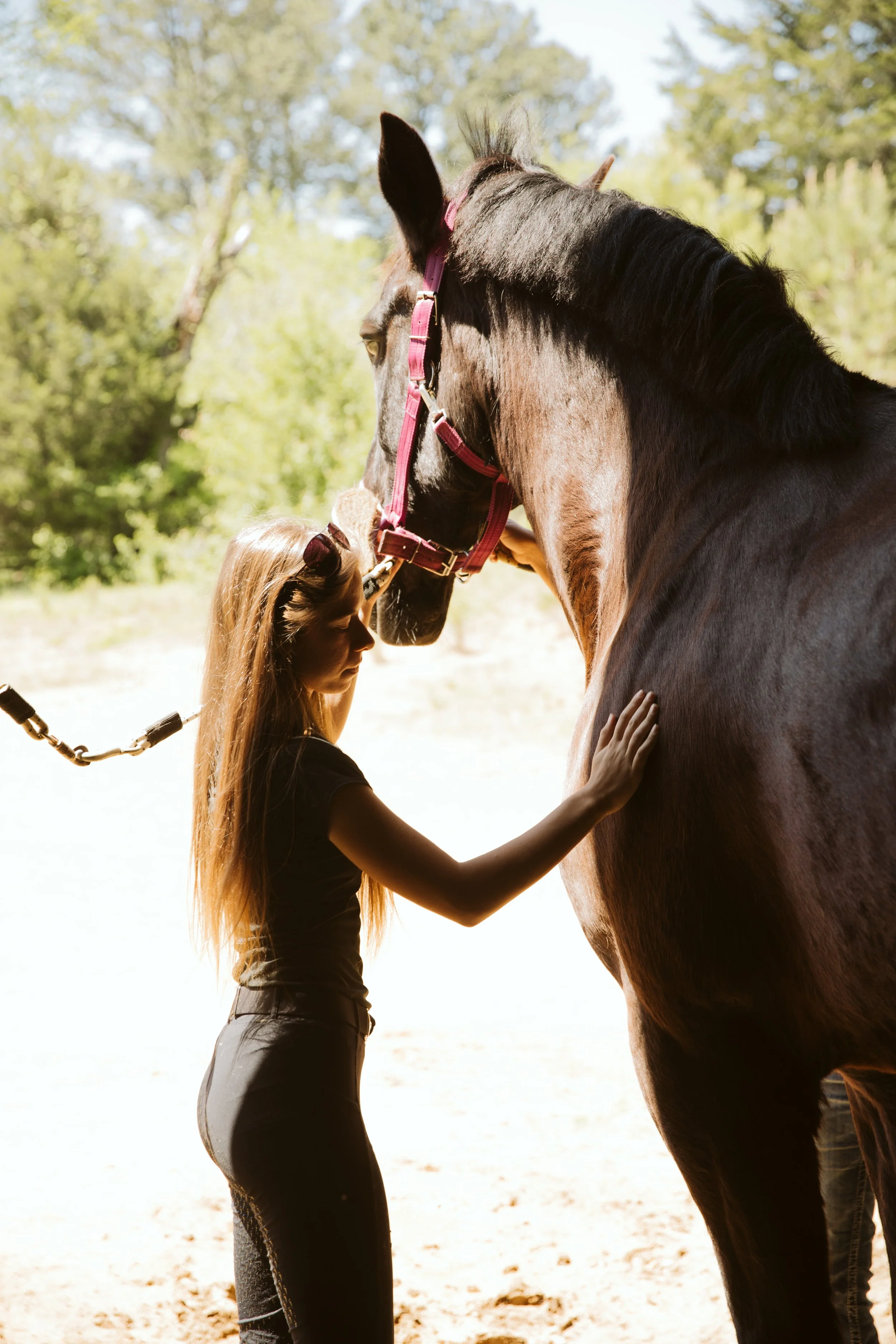 stephany-barboza-ga-horse-photographer1K9A1724.jpg